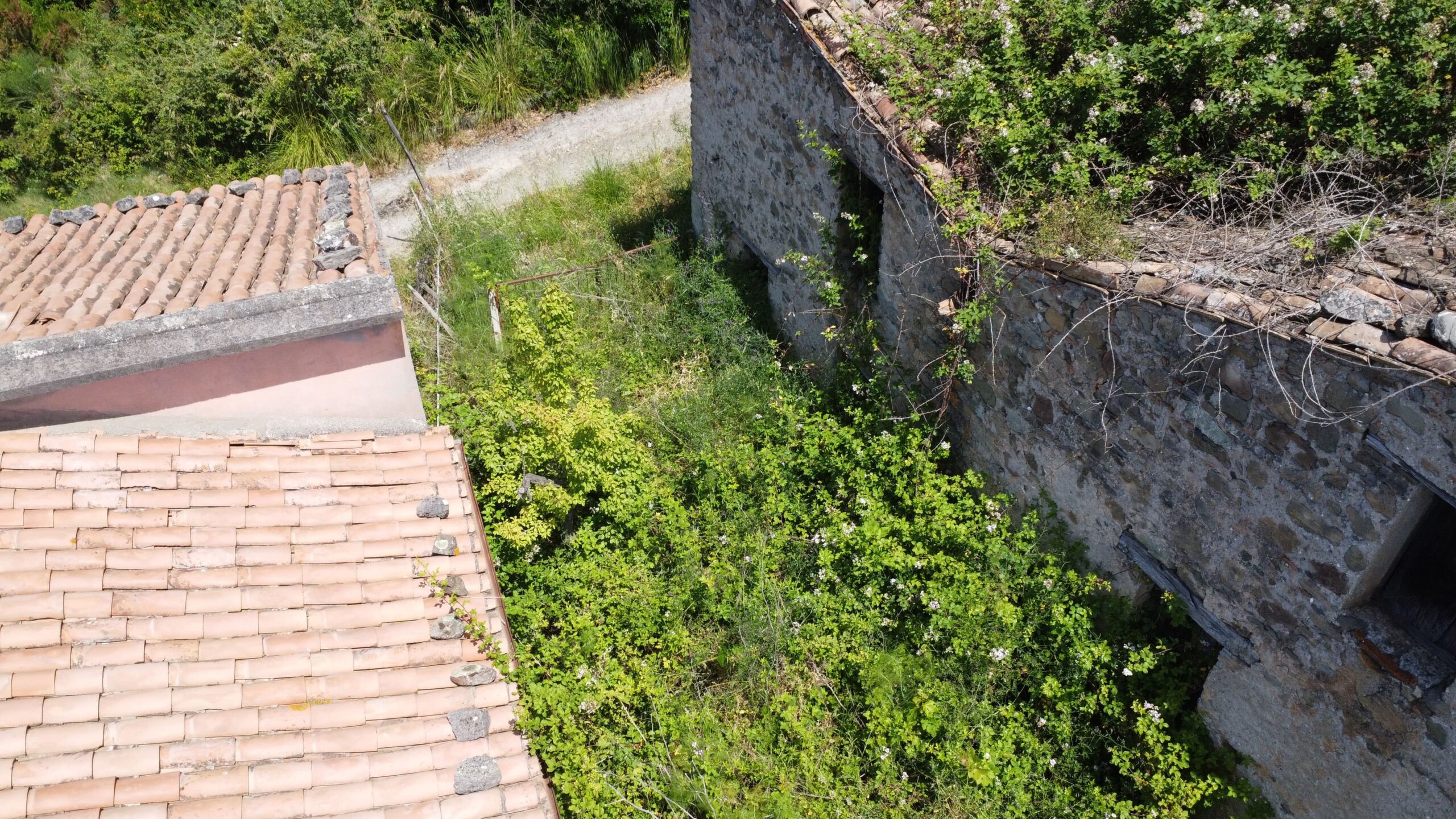 House to be renovated in Sangineto - plot of 18000m² with olive trees, B&B potential.