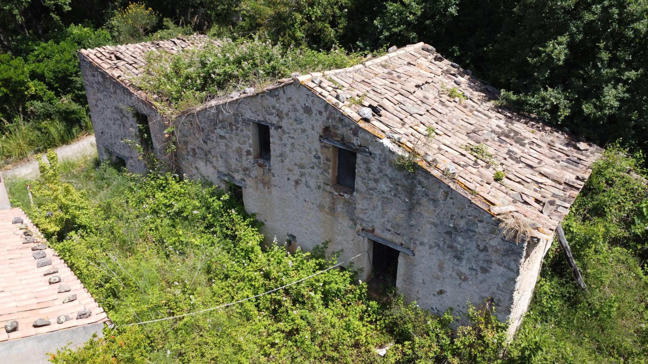 House to be renovated in Sangineto - plot of 18000m² with olive trees, B&B potential.