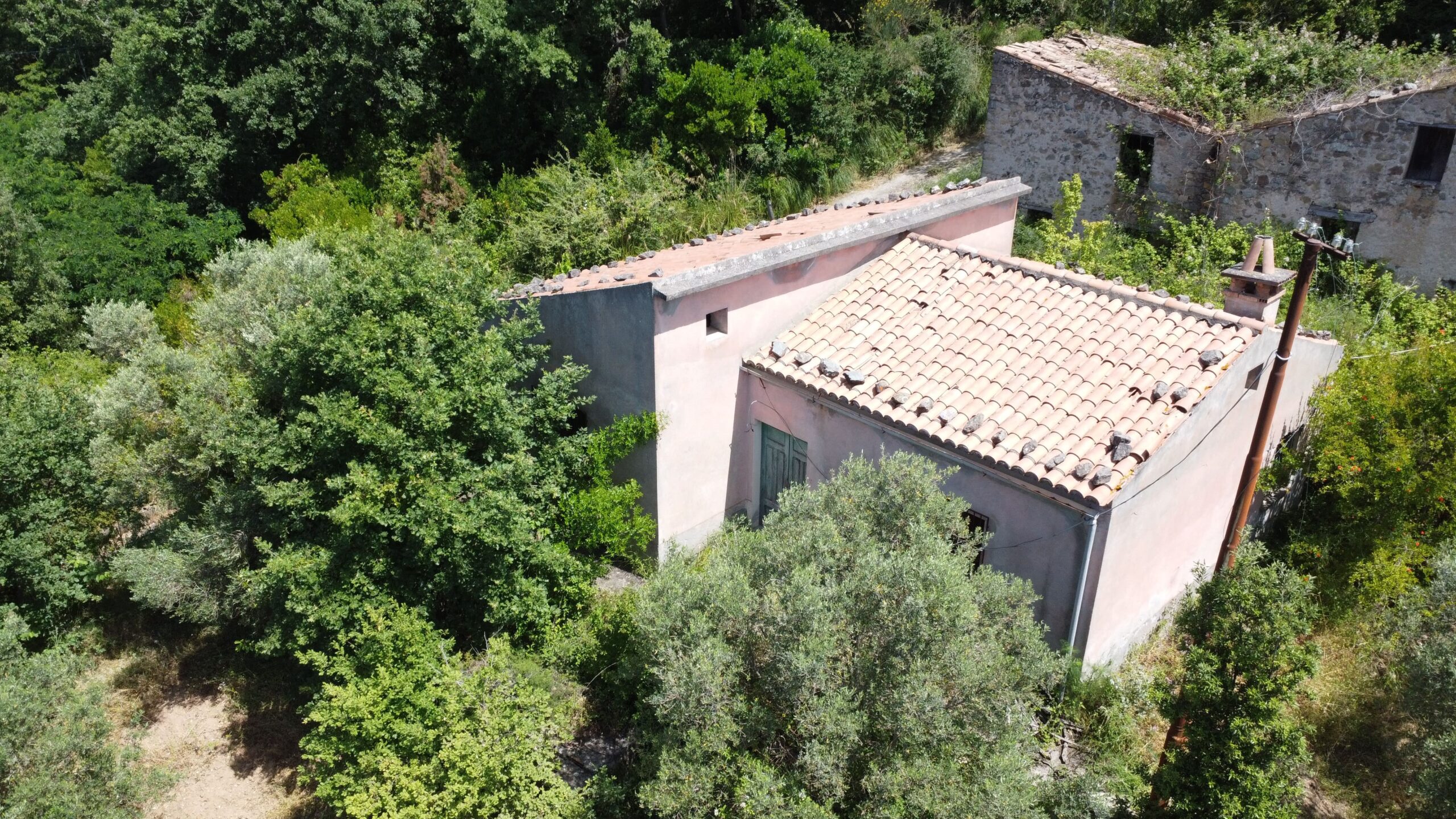 House to be renovated in Sangineto - plot of 18000m² with olive trees, B&B potential.