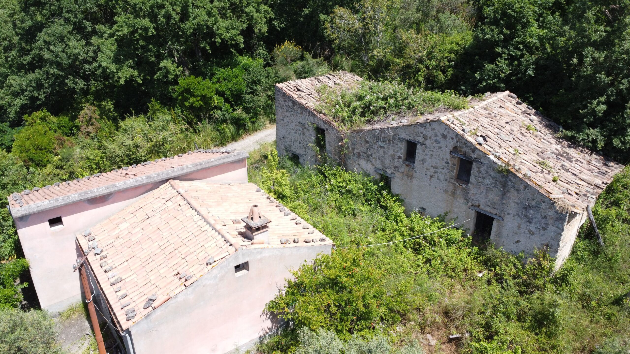 House to be renovated in Sangineto - plot of 18000m² with olive trees, B&B potential.