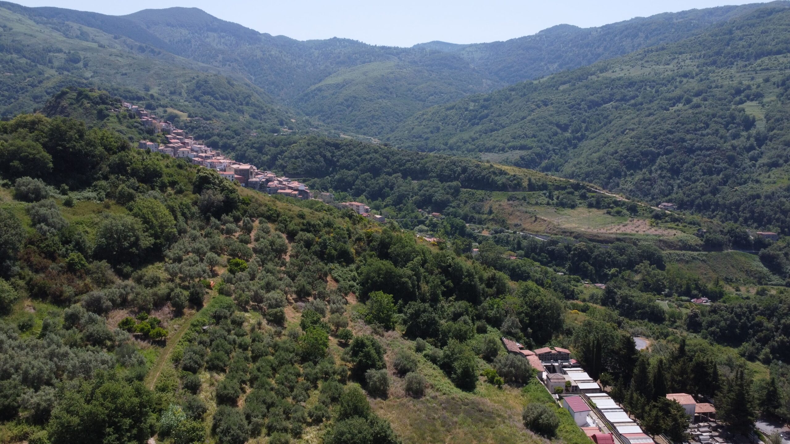 House to be renovated in Sangineto - plot of 18000m² with olive trees, B&B potential.