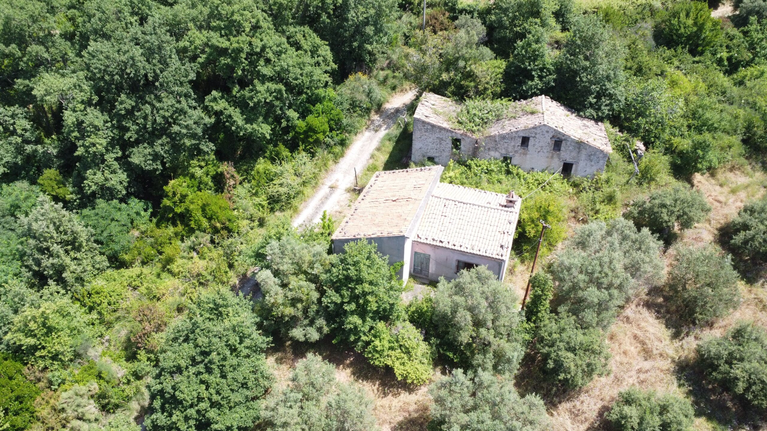 House to be renovated in Sangineto - plot of 18000m² with olive trees, B&B potential.