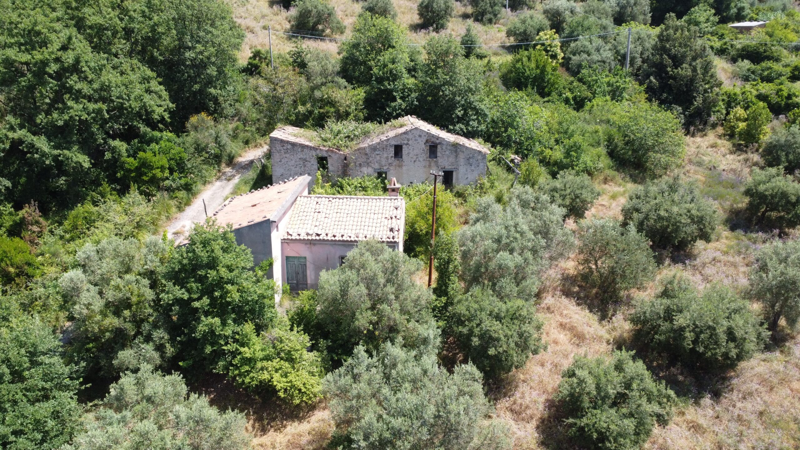 House to be renovated in Sangineto - plot of 18000m² with olive trees, B&B potential.