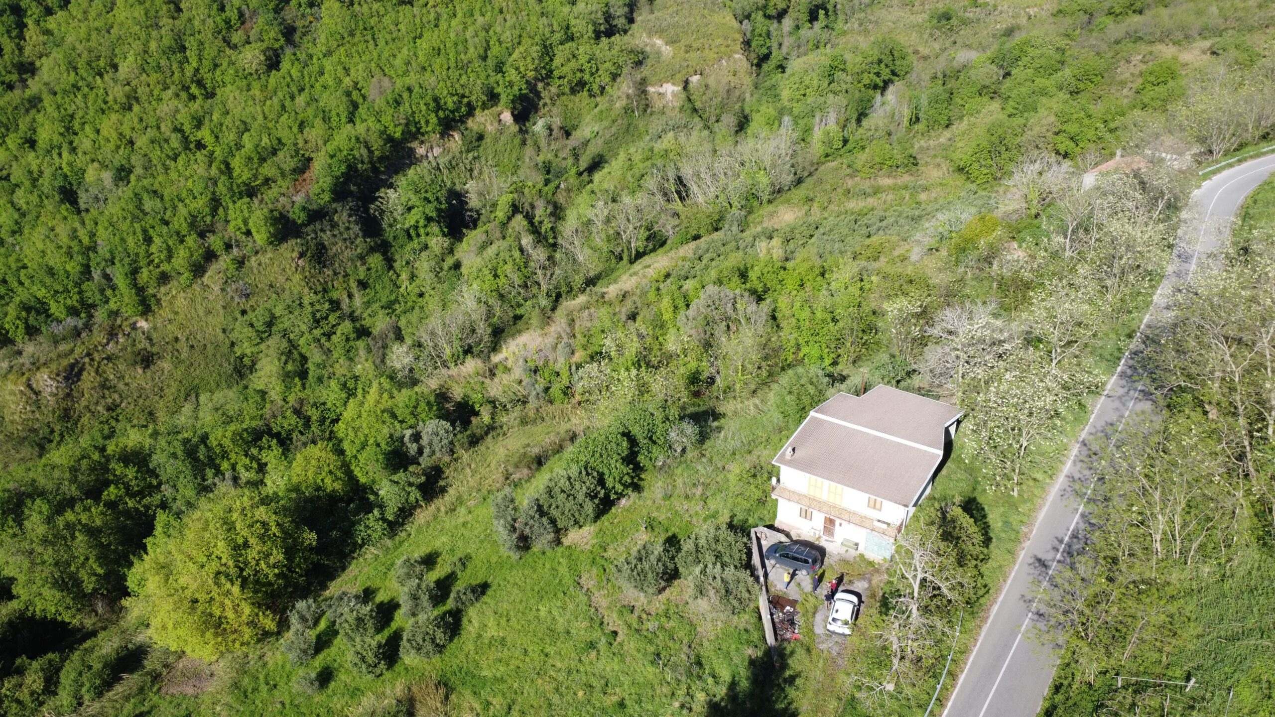 Sangineto house 357m² Panoramic - Plot 6907m², View of the Sea and Belvedere Marittimo.