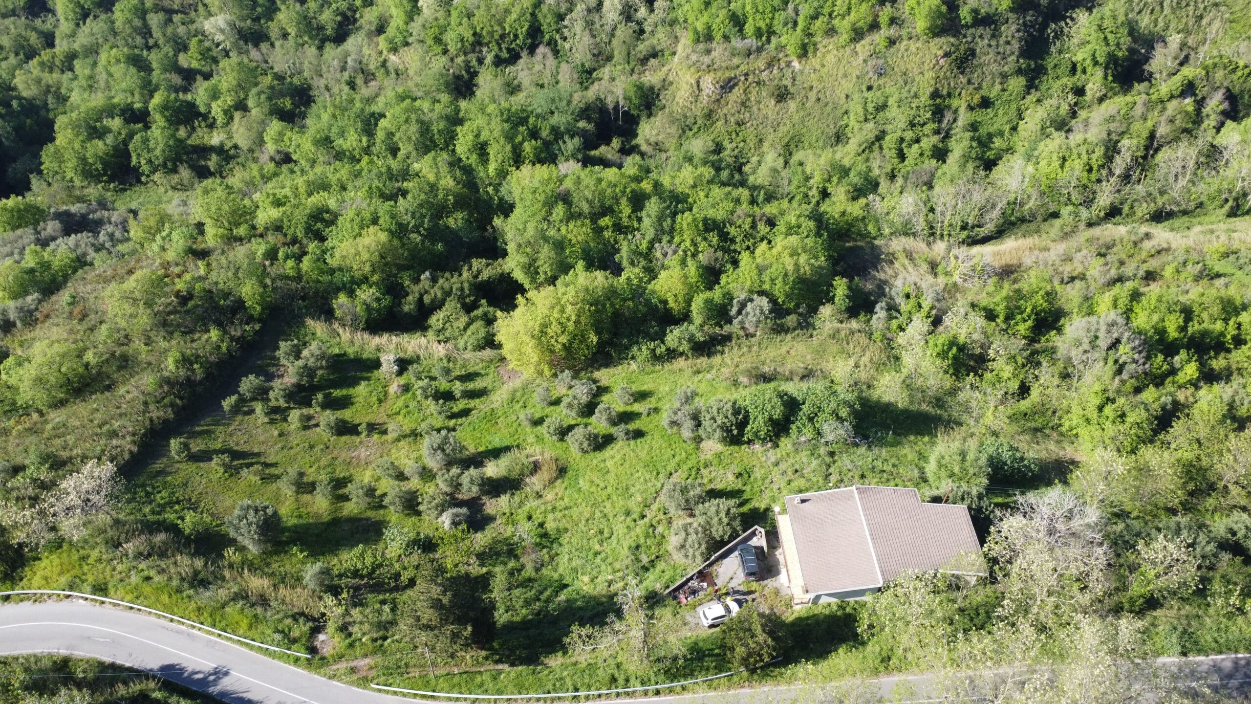 Sangineto house 357m² Panoramic - Plot 6907m², View of the Sea and Belvedere Marittimo.