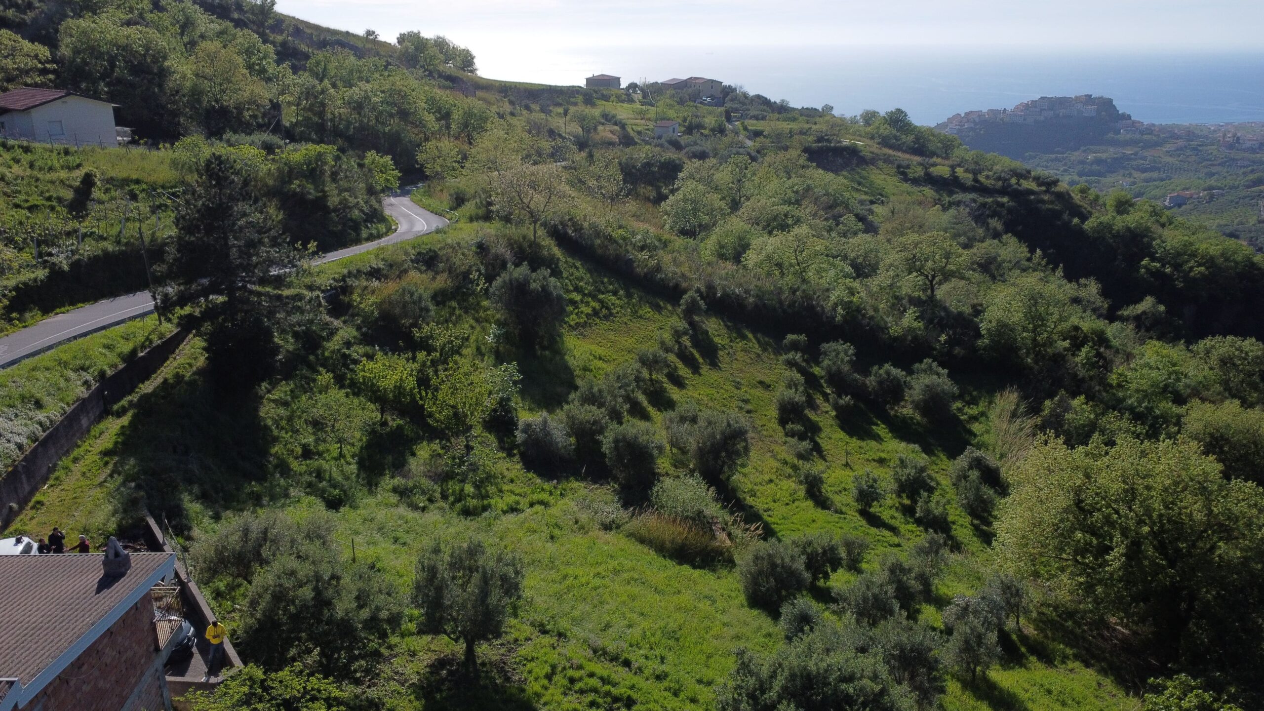 Sangineto house 357m² Panoramic - Plot 6907m², View of the Sea and Belvedere Marittimo.