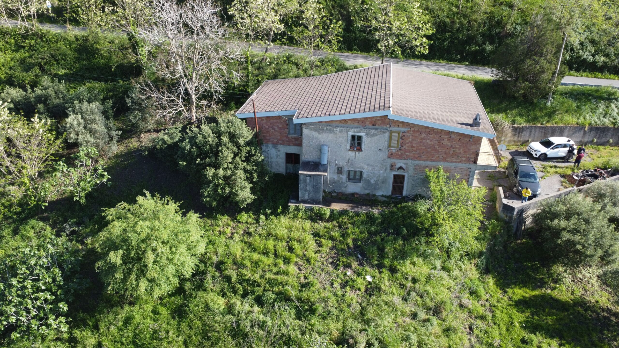 Sangineto house 357m² Panoramic - Plot 6907m², View of the Sea and Belvedere Marittimo.