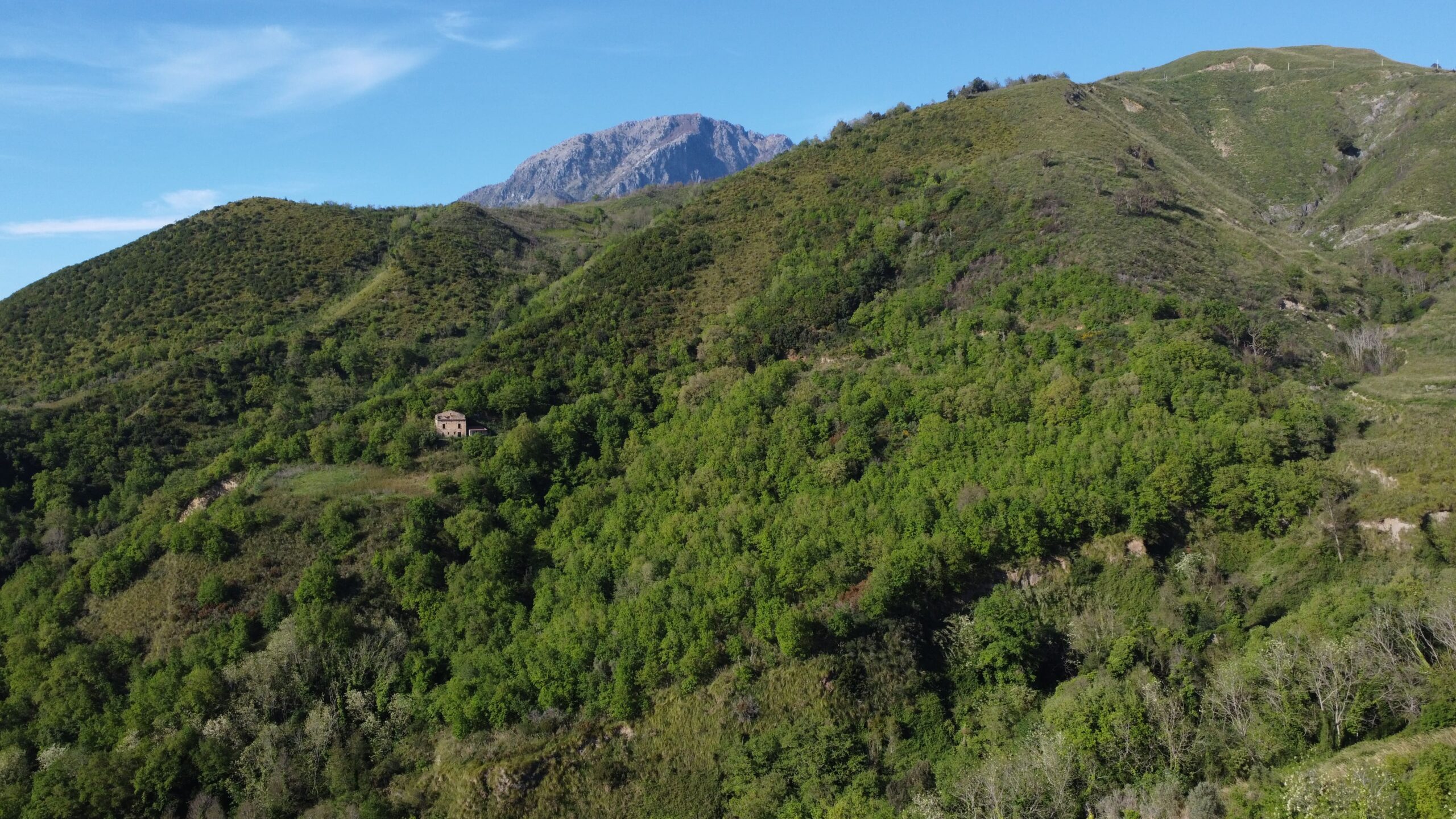 Sangineto house 357m² Panoramic - Plot 6907m², View of the Sea and Belvedere Marittimo.