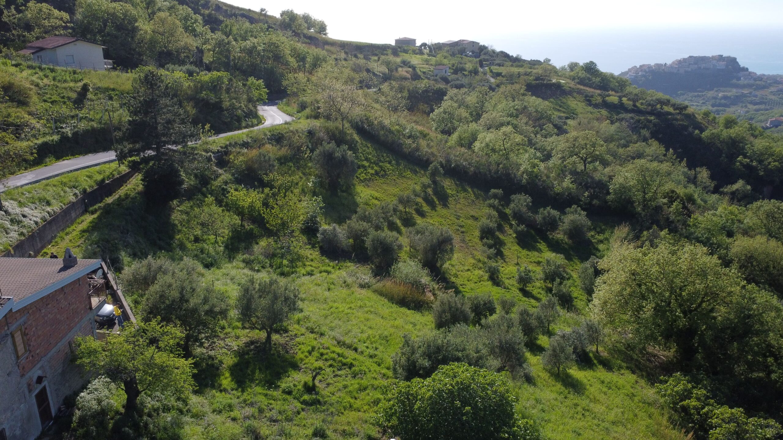 Sangineto house 357m² Panoramic - Plot 6907m², View of the Sea and Belvedere Marittimo.