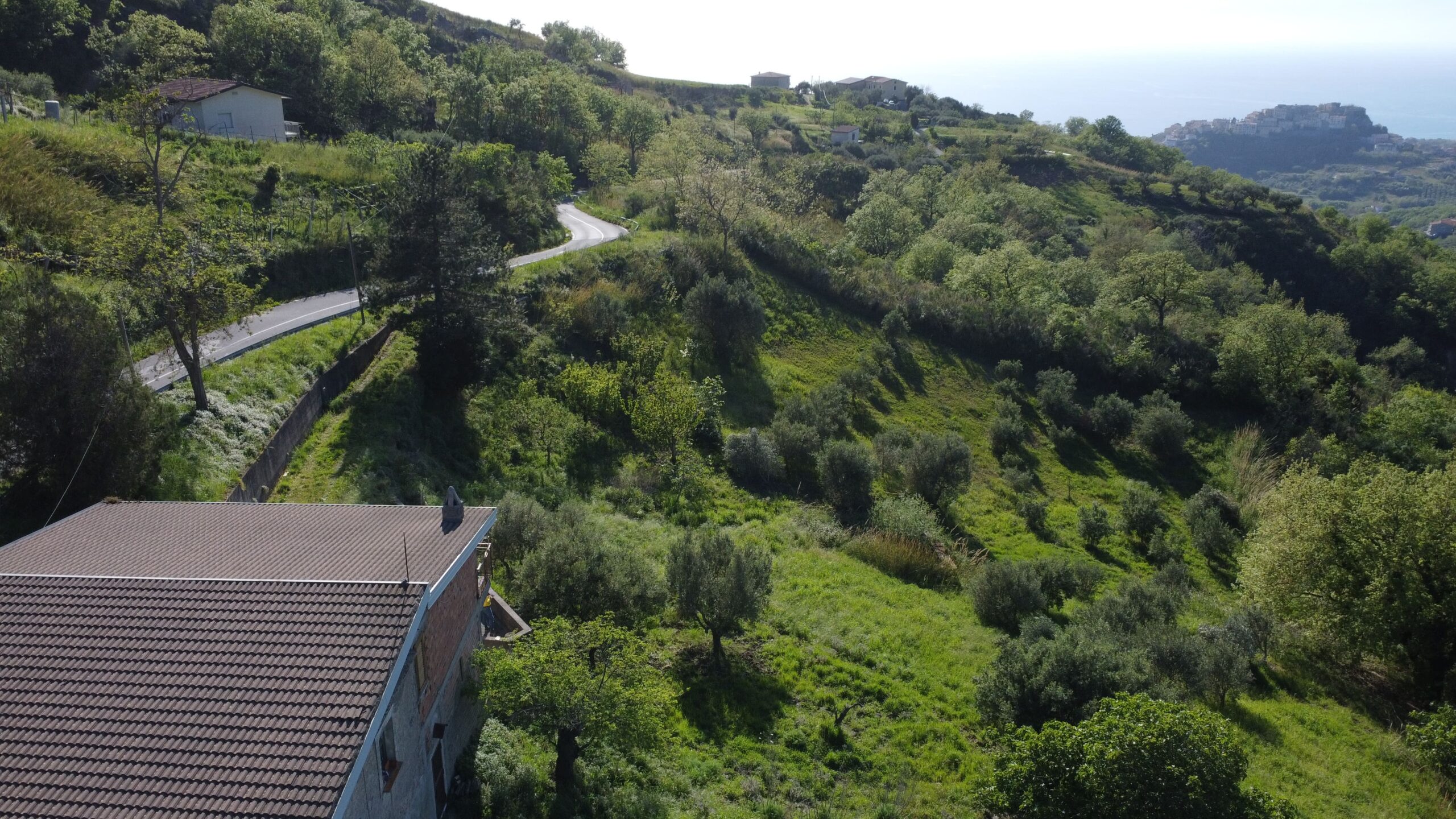 Sangineto house 357m² Panoramic - Plot 6907m², View of the Sea and Belvedere Marittimo.