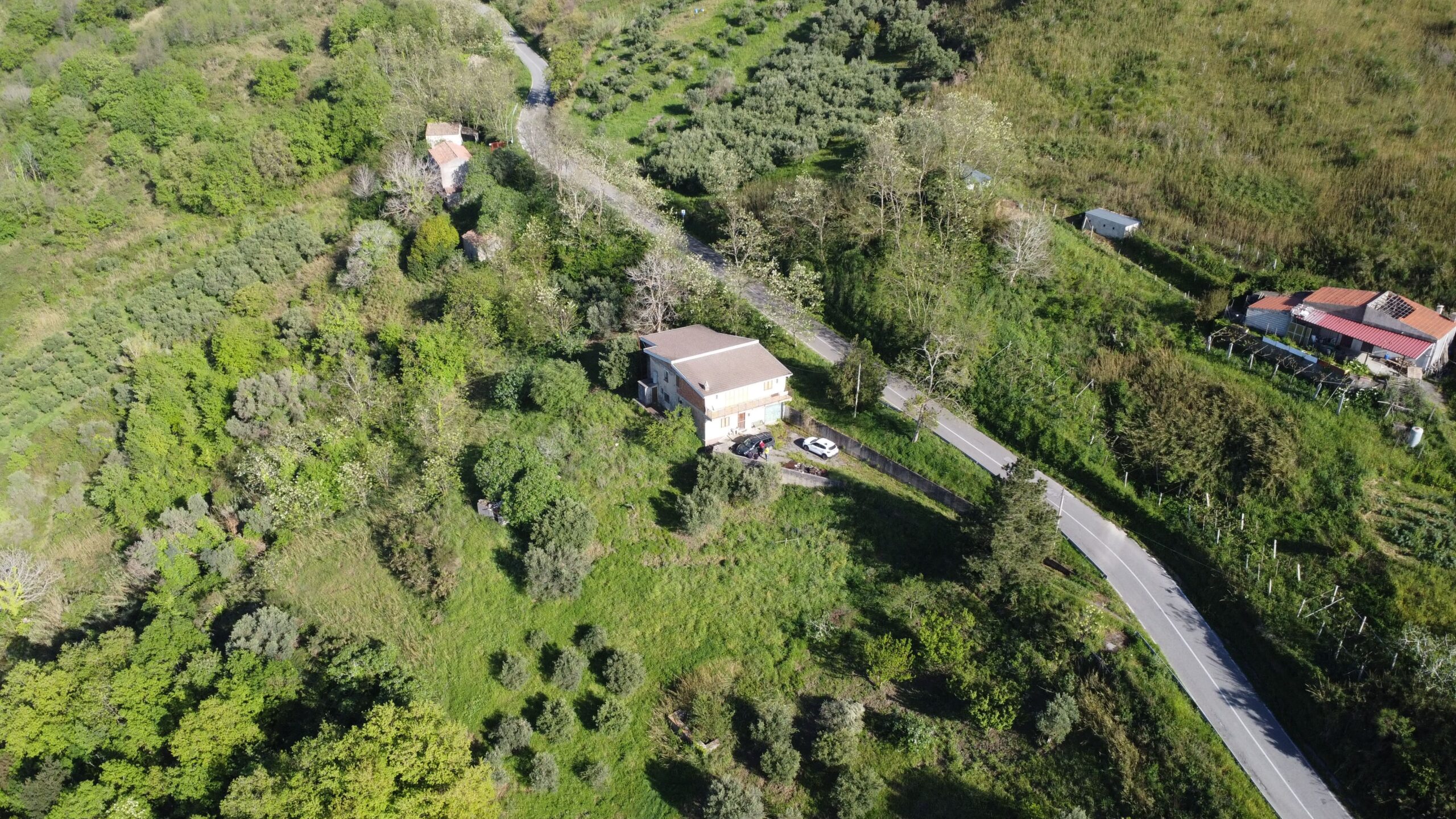 Sangineto house 357m² Panoramic - Plot 6907m², View of the Sea and Belvedere Marittimo.