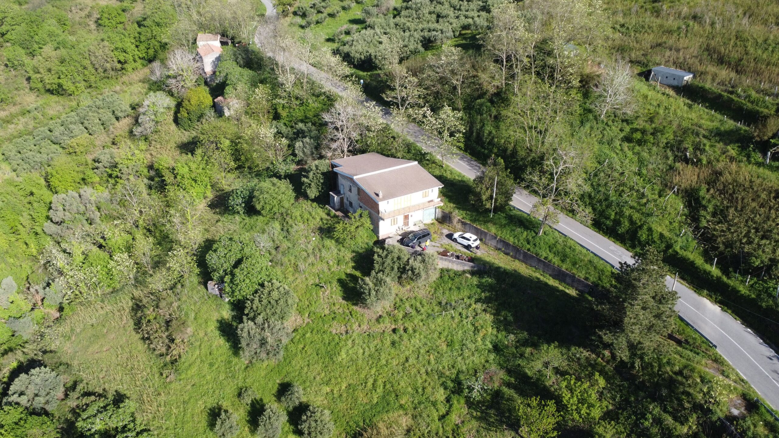 Sangineto house 357m² Panoramic - Plot 6907m², View of the Sea and Belvedere Marittimo.