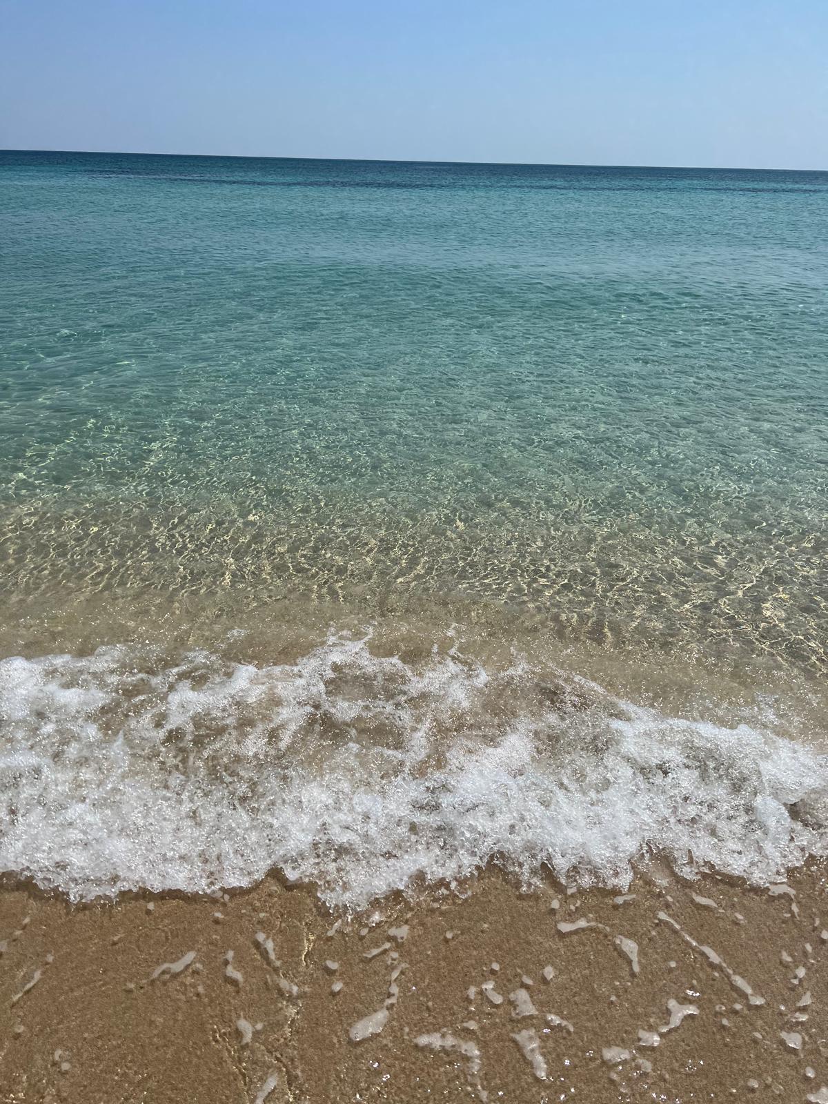 Villa Lea in San Pietro In Bevagna - 1 hectare of land, close to the beach, potential for B&B and Primitivo Vineyards.