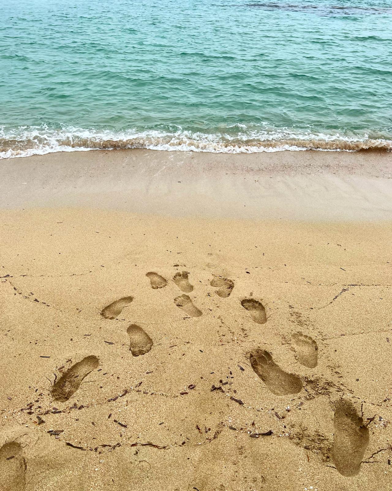 Villa Lea in San Pietro In Bevagna - 1 hectare of land, close to the beach, potential for B&B and Primitivo Vineyards.