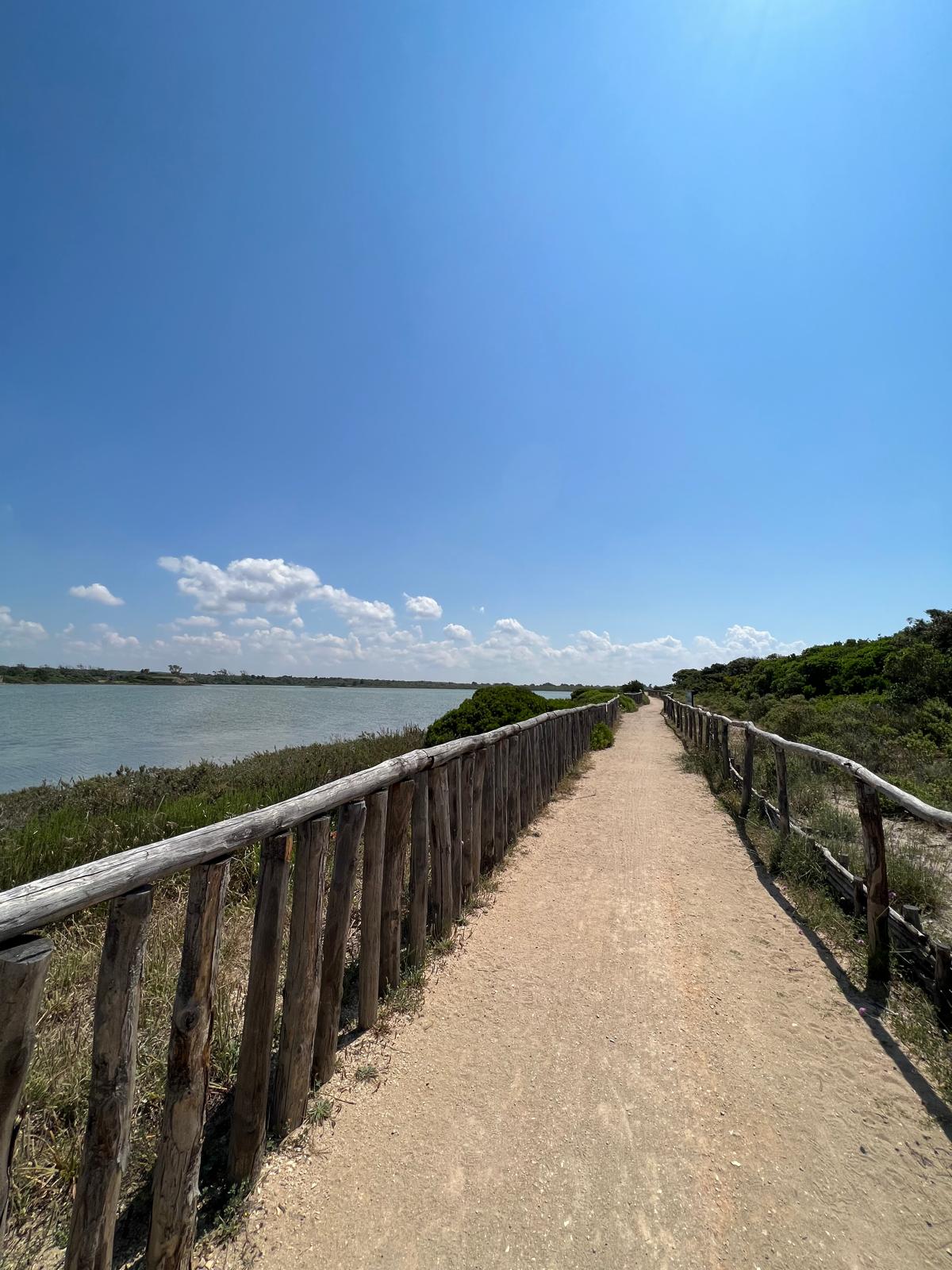 Villa Lea in San Pietro In Bevagna - 1 hectare of land, close to the beach, potential for B&B and Primitivo Vineyards.