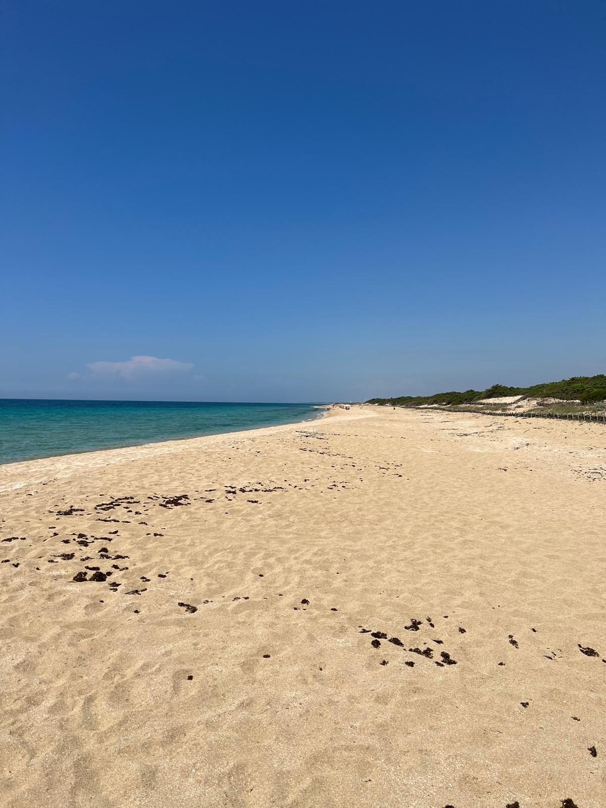 Villa Lea in San Pietro In Bevagna - 1 hectare of land, close to the beach, potential for B&B and Primitivo Vineyards.