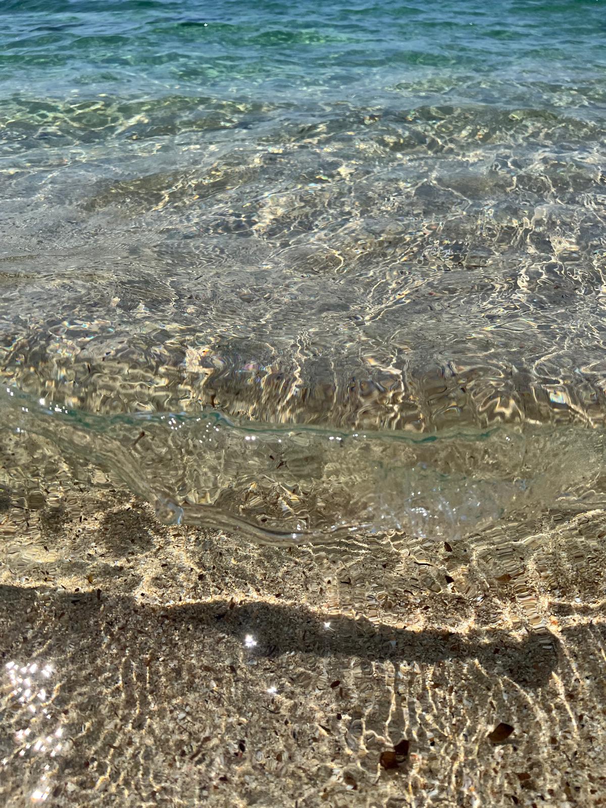 Villa Lea in San Pietro In Bevagna - 1 hectare of land, close to the beach, potential for B&B and Primitivo Vineyards.