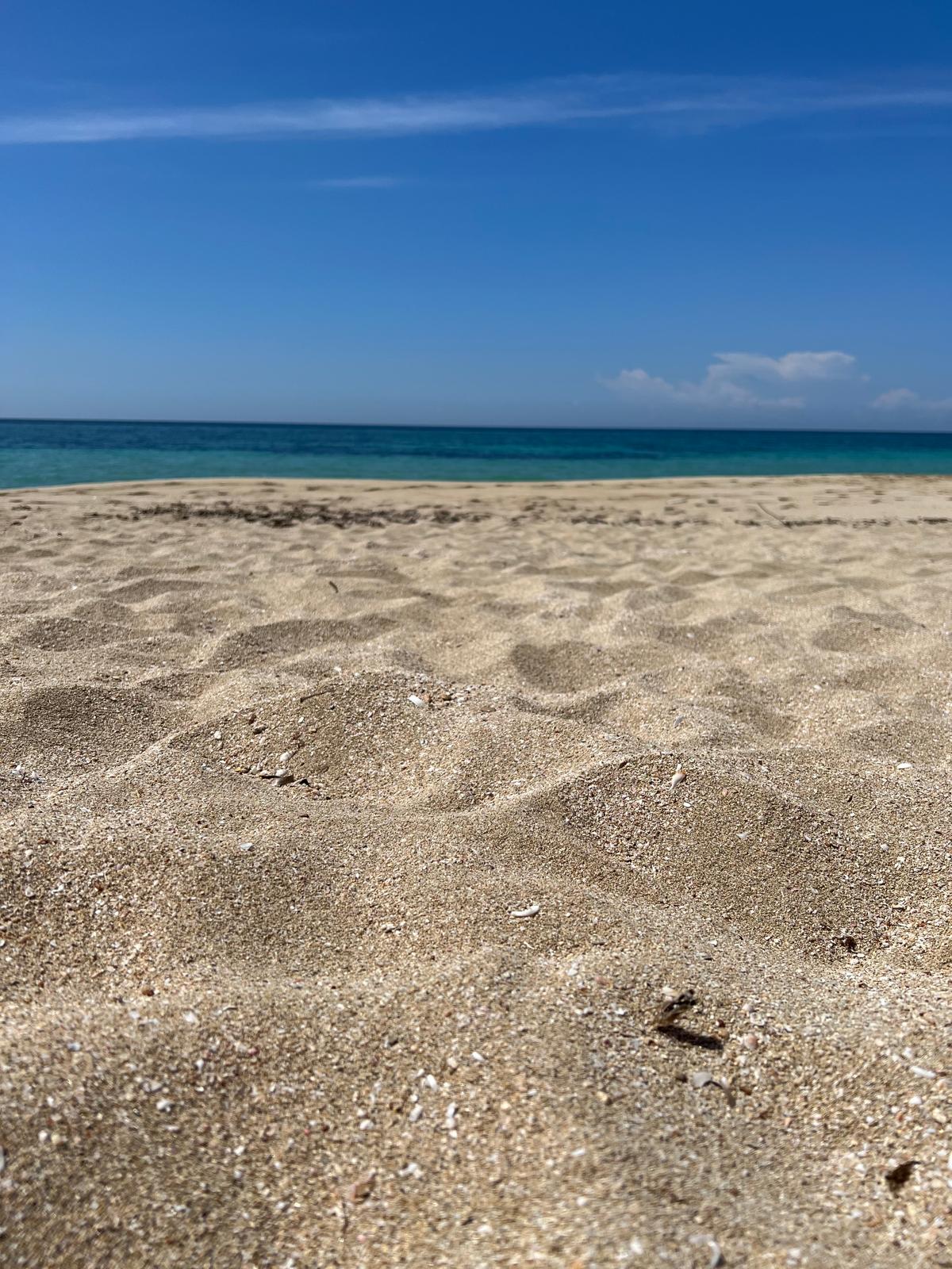 Villa Lea in San Pietro In Bevagna - 1 hectare of land, close to the beach, potential for B&B and Primitivo Vineyards.