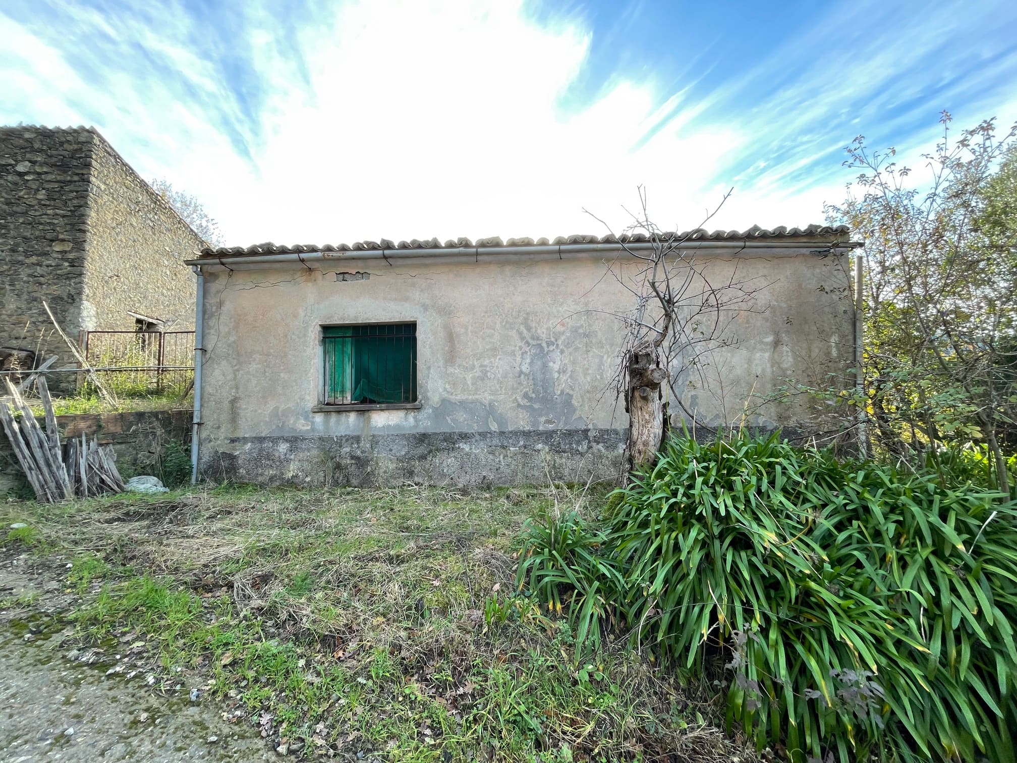 House to be renovated in Sangineto - plot of 18000m² with olive trees, B&B potential.