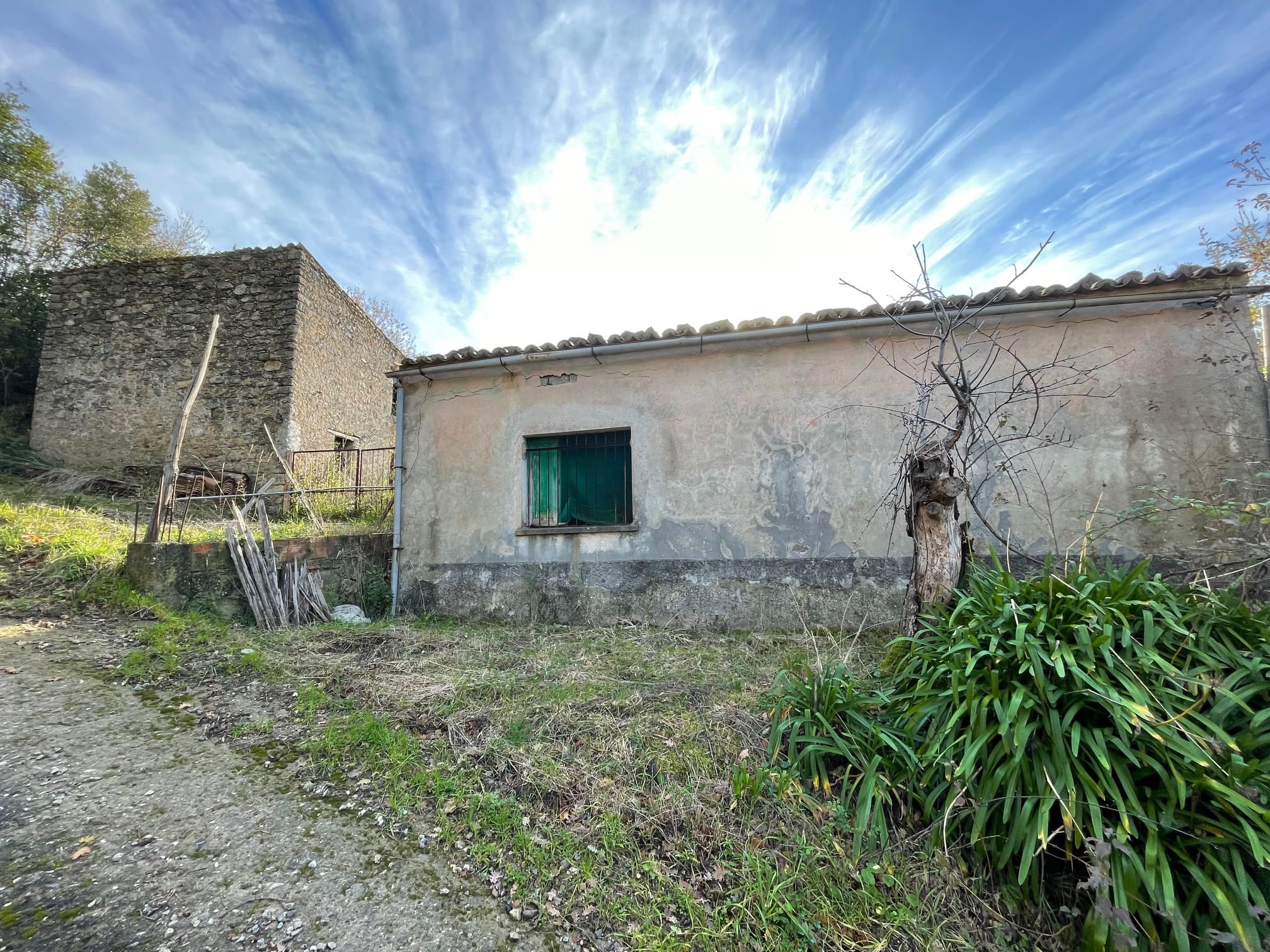 House to be renovated in Sangineto - plot of 18000m² with olive trees, B&B potential.