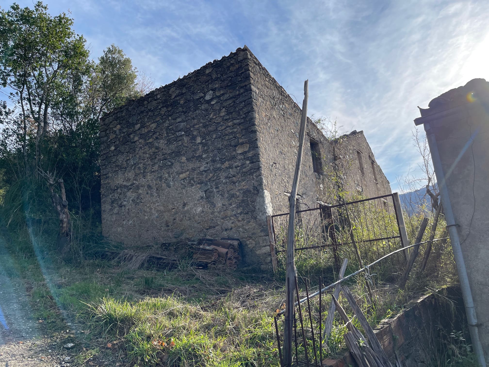 House to be renovated in Sangineto - plot of 18000m² with olive trees, B&B potential.