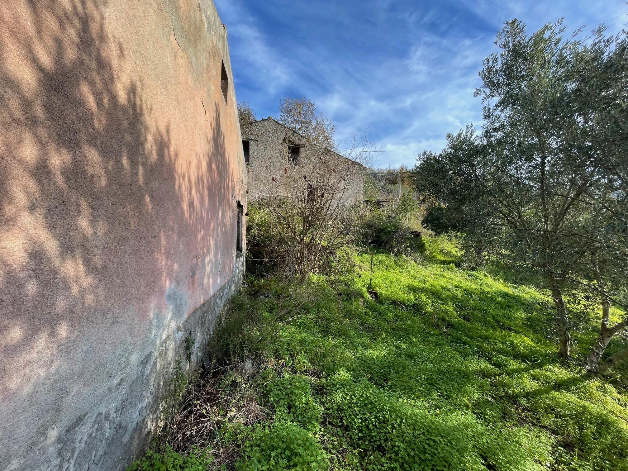 House to be renovated in Sangineto - plot of 18000m² with olive trees, B&B potential.