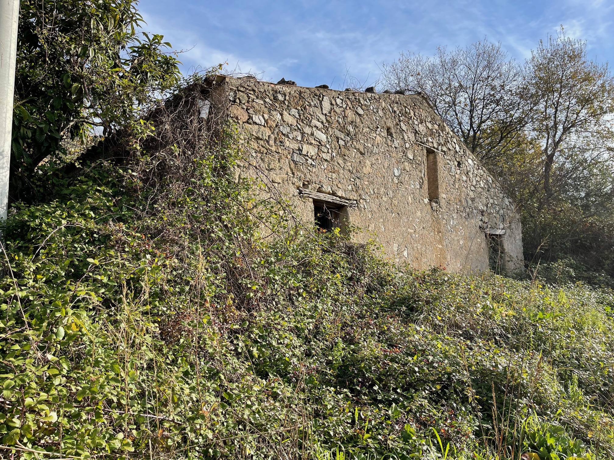 House to be renovated in Sangineto - plot of 18000m² with olive trees, B&B potential.