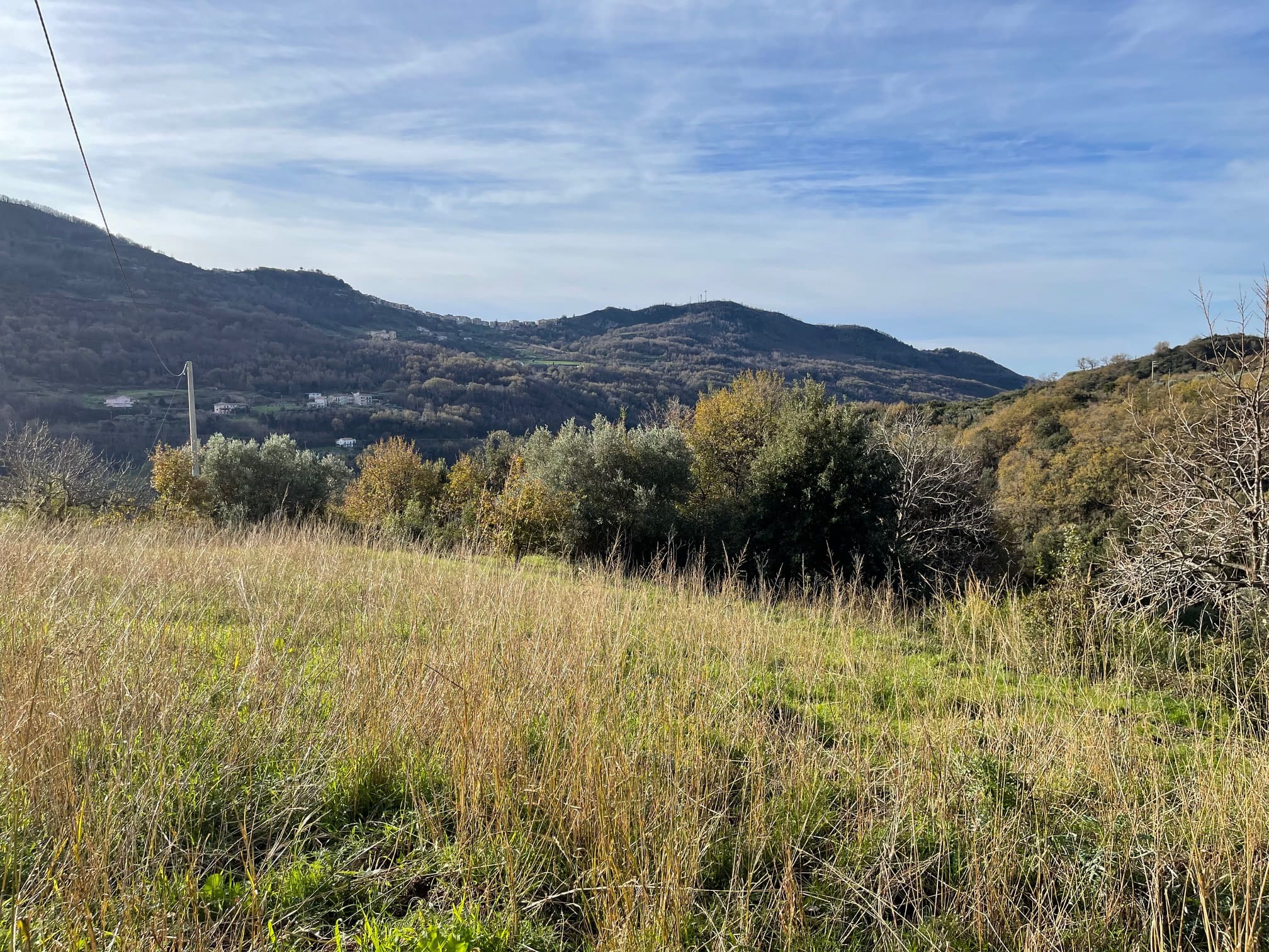 House to be renovated in Sangineto - plot of 18000m² with olive trees, B&B potential.