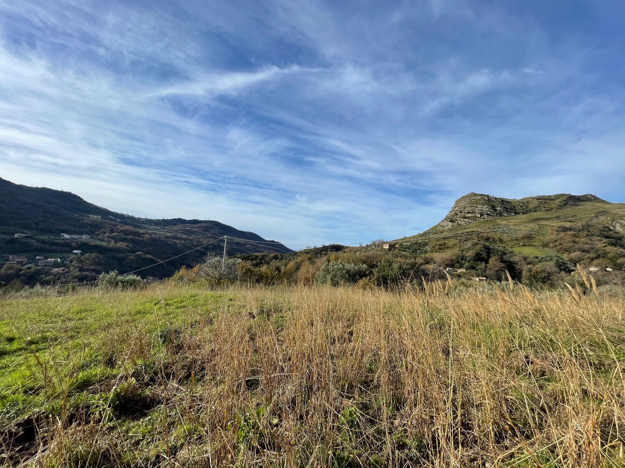 House to be renovated in Sangineto - plot of 18000m² with olive trees, B&B potential.