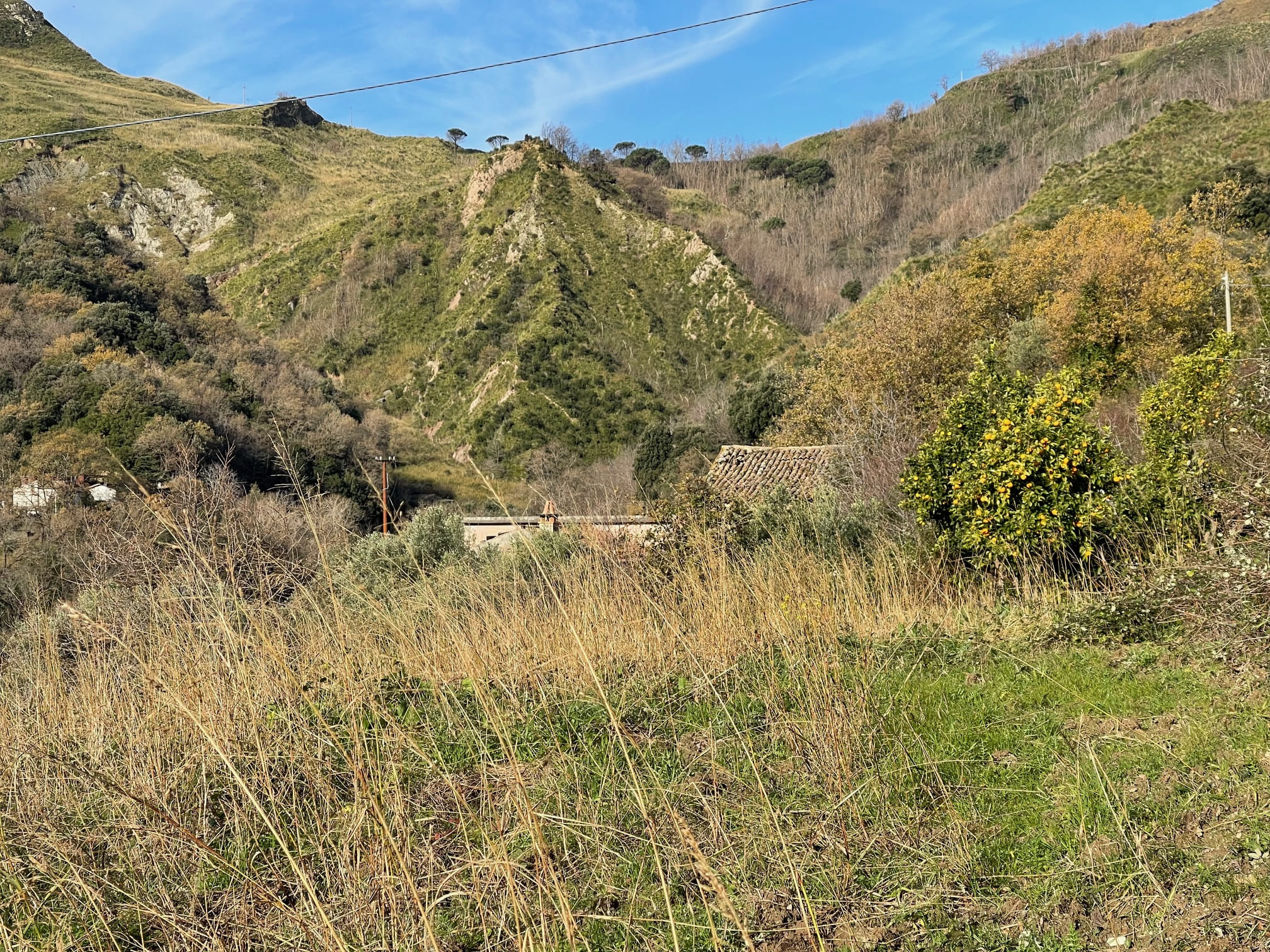 House to be renovated in Sangineto - plot of 18000m² with olive trees, B&B potential.