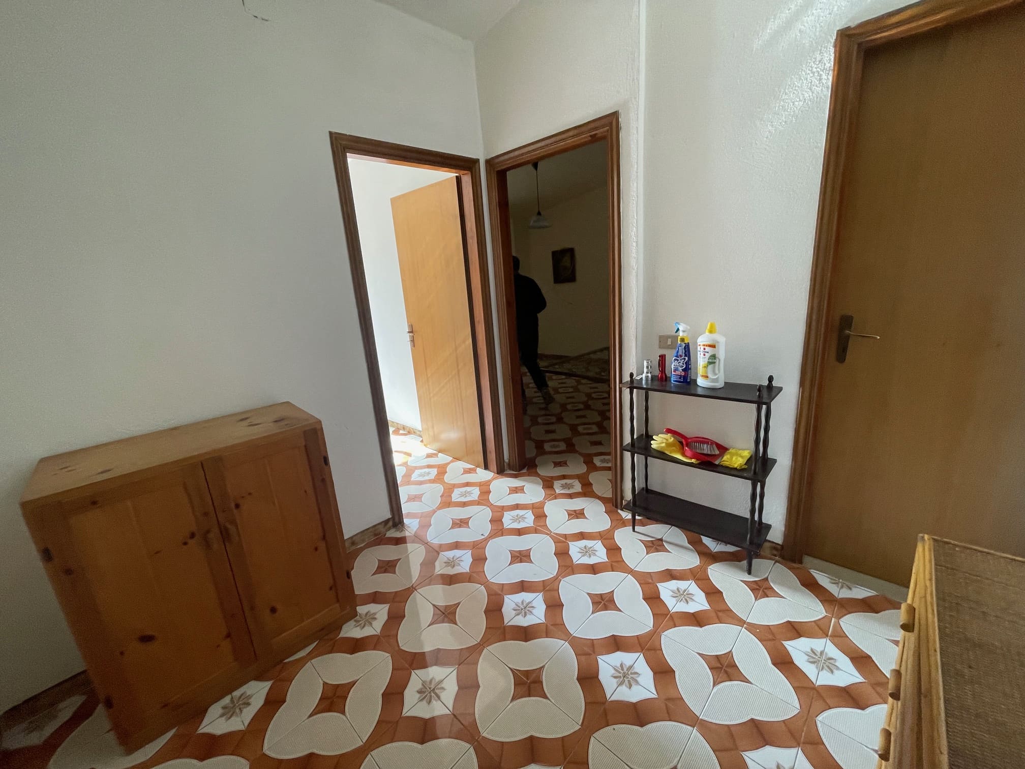 Sangineto house 357m² Panoramic - Plot 6907m², View of the Sea and Belvedere Marittimo.