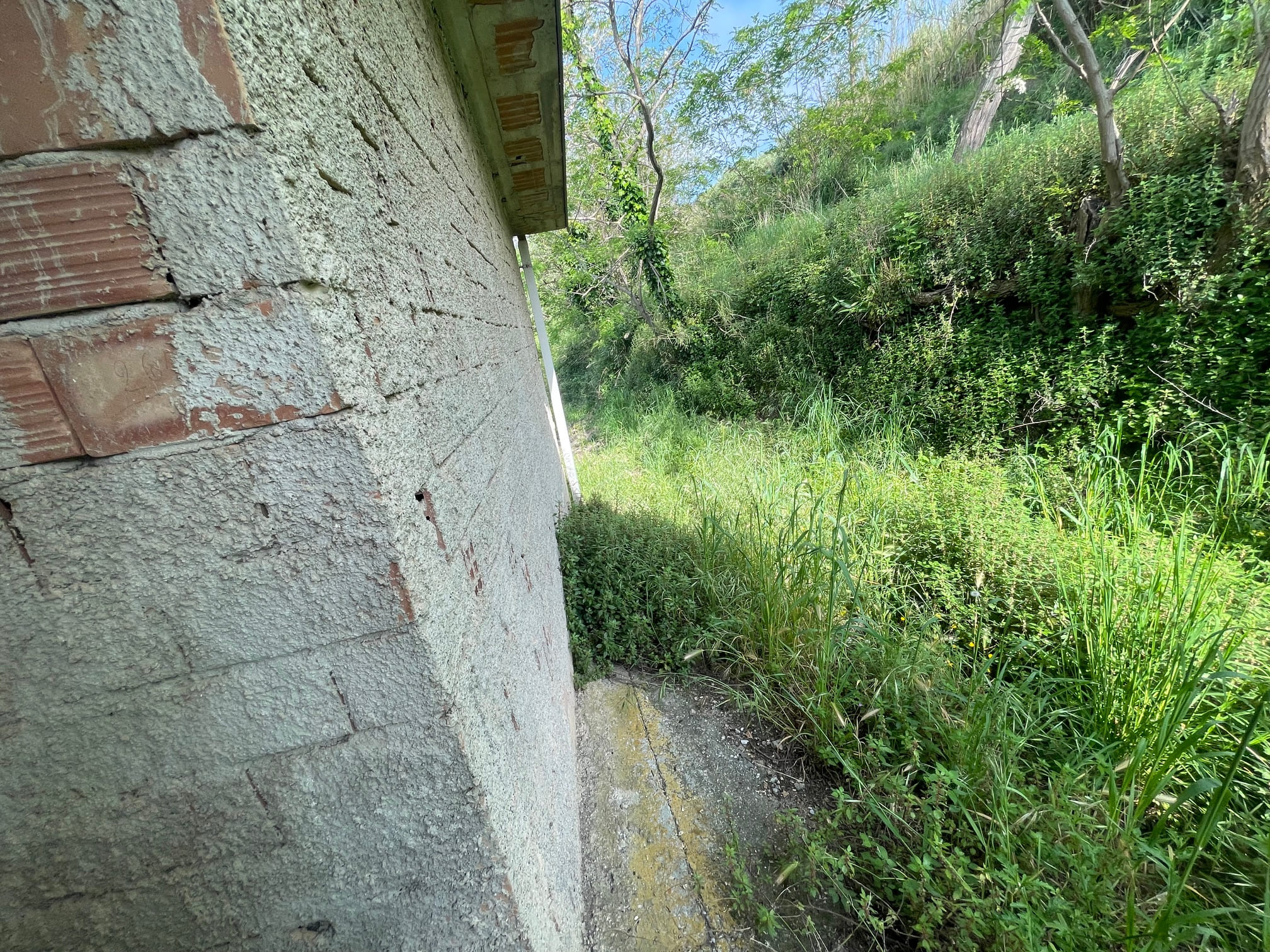 Sangineto house 357m² Panoramic - Plot 6907m², View of the Sea and Belvedere Marittimo.