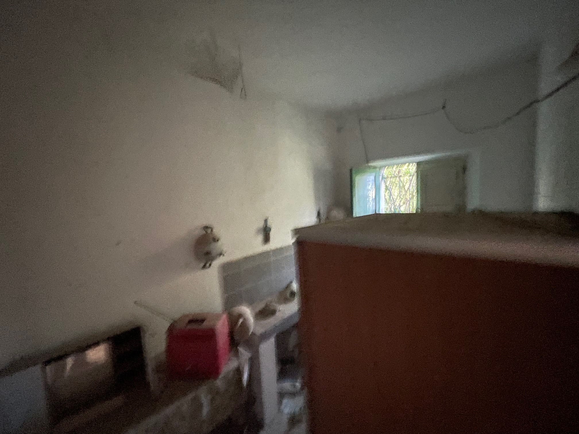 House to be renovated in Sangineto - plot of 18000m² with olive trees, B&B potential.