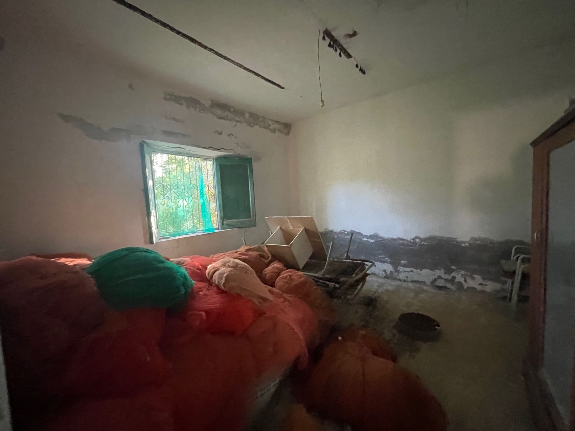 House to be renovated in Sangineto - plot of 18000m² with olive trees, B&B potential.