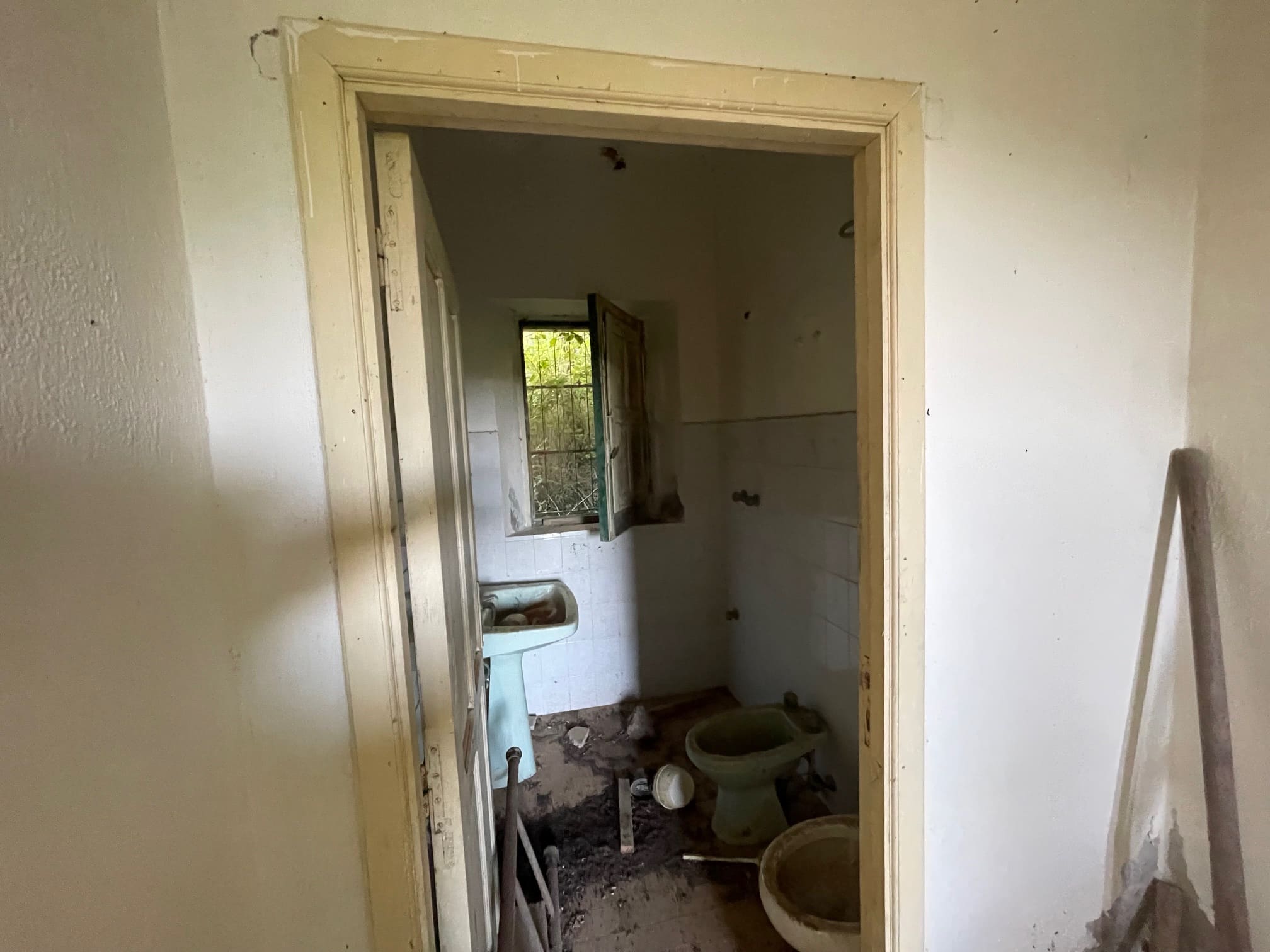 House to be renovated in Sangineto - plot of 18000m² with olive trees, B&B potential.