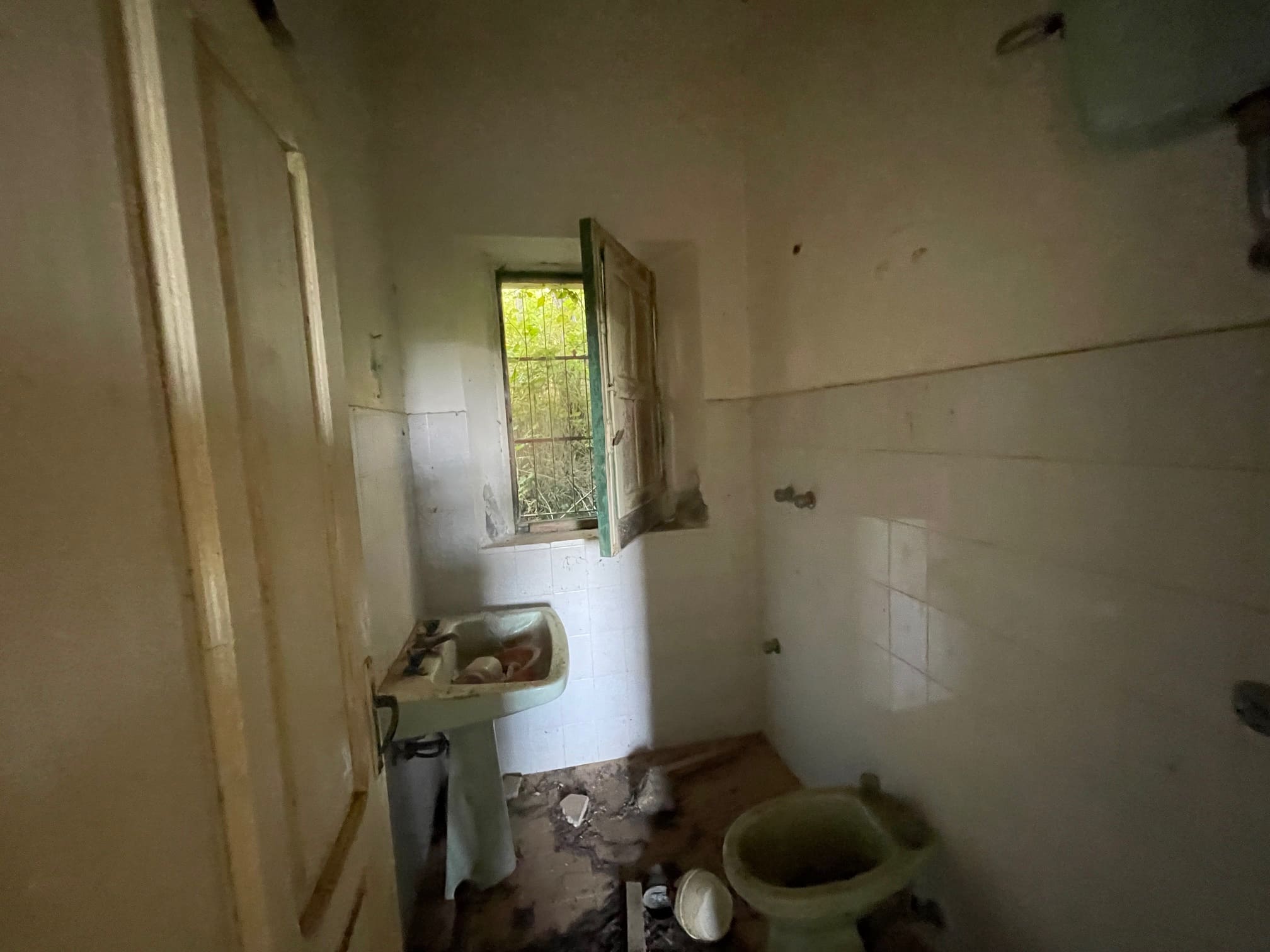 House to be renovated in Sangineto - plot of 18000m² with olive trees, B&B potential.