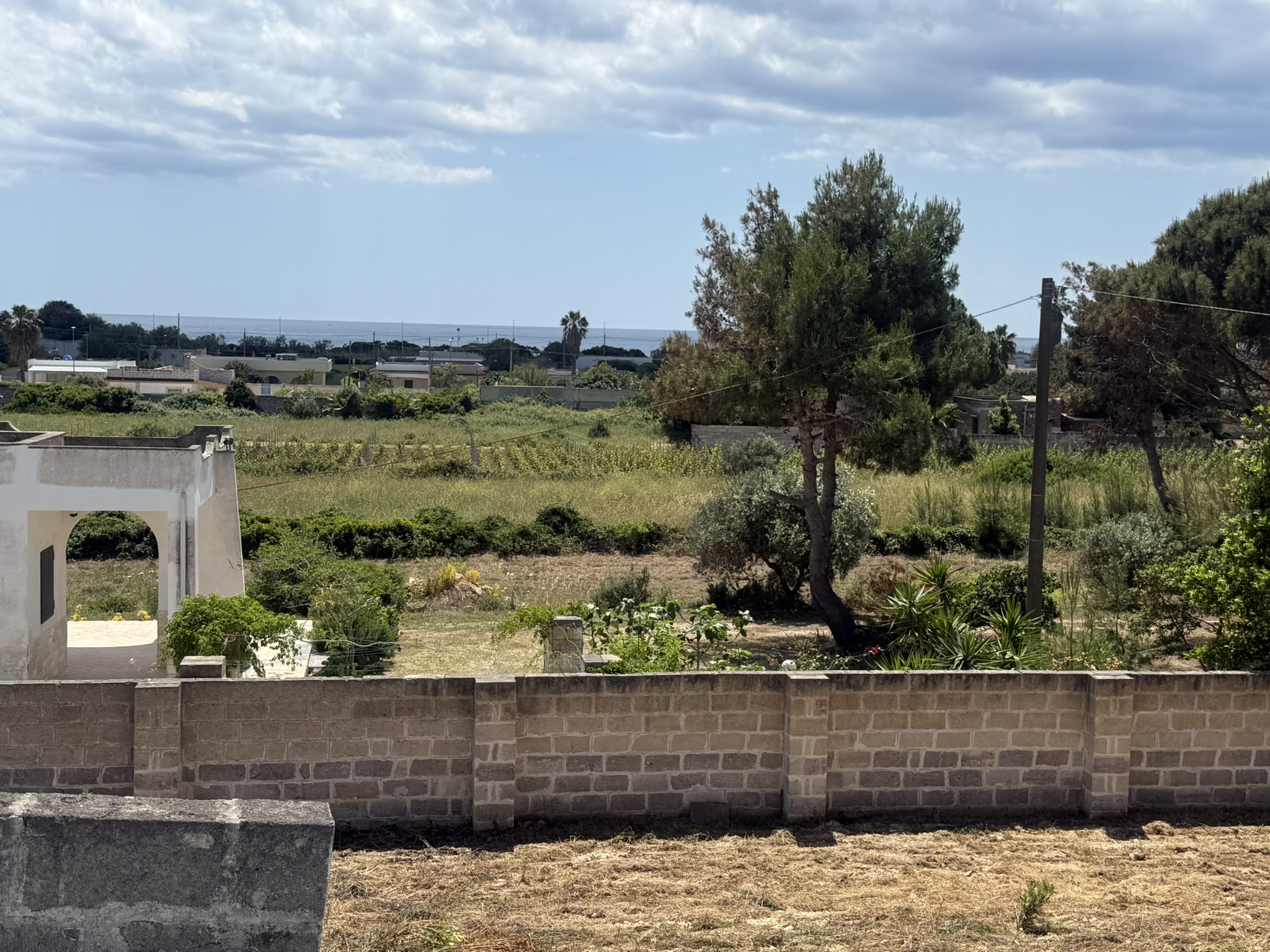 Villa Lea in San Pietro In Bevagna - 1 hectare of land, close to the beach, potential for B&B and Primitivo Vineyards.