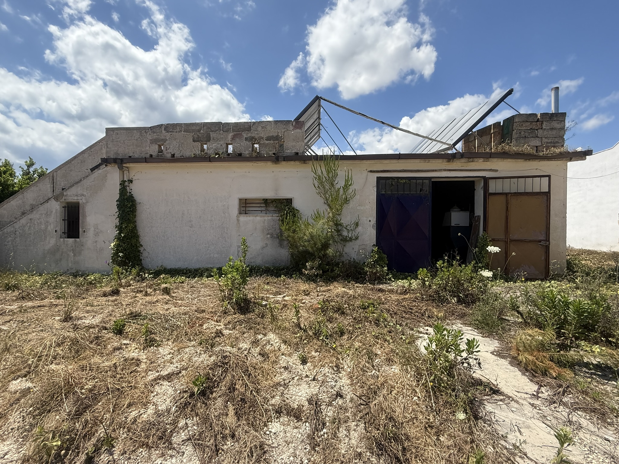 Villa Lea in San Pietro In Bevagna - 1 hectare of land, close to the beach, potential for B&B and Primitivo Vineyards.