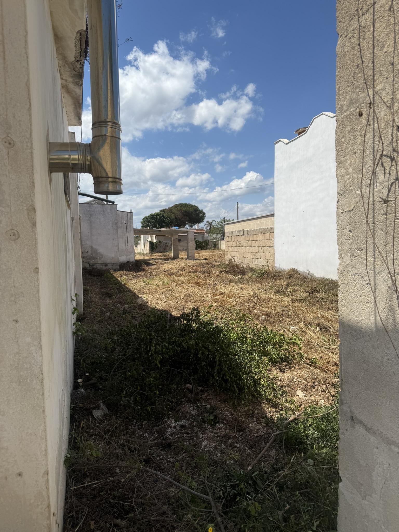 Villa Lea in San Pietro In Bevagna - 1 hectare of land, close to the beach, potential for B&B and Primitivo Vineyards.