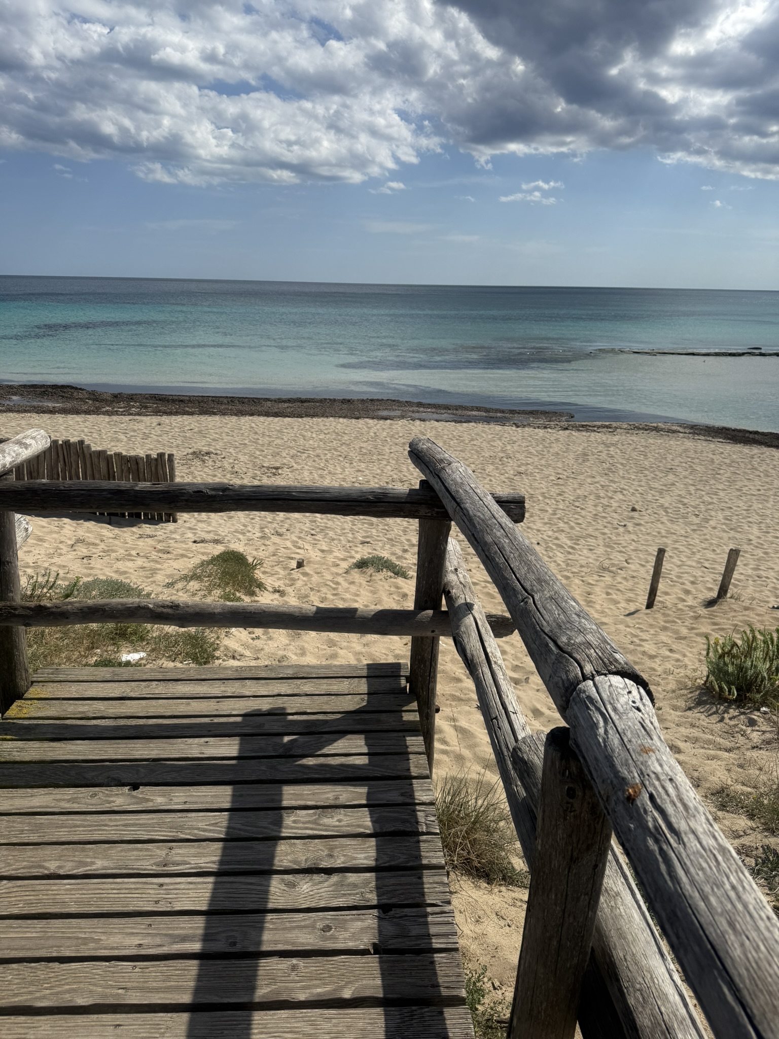 Villa Lea in San Pietro In Bevagna - 1 hectare of land, close to the beach, potential for B&B and Primitivo Vineyards.