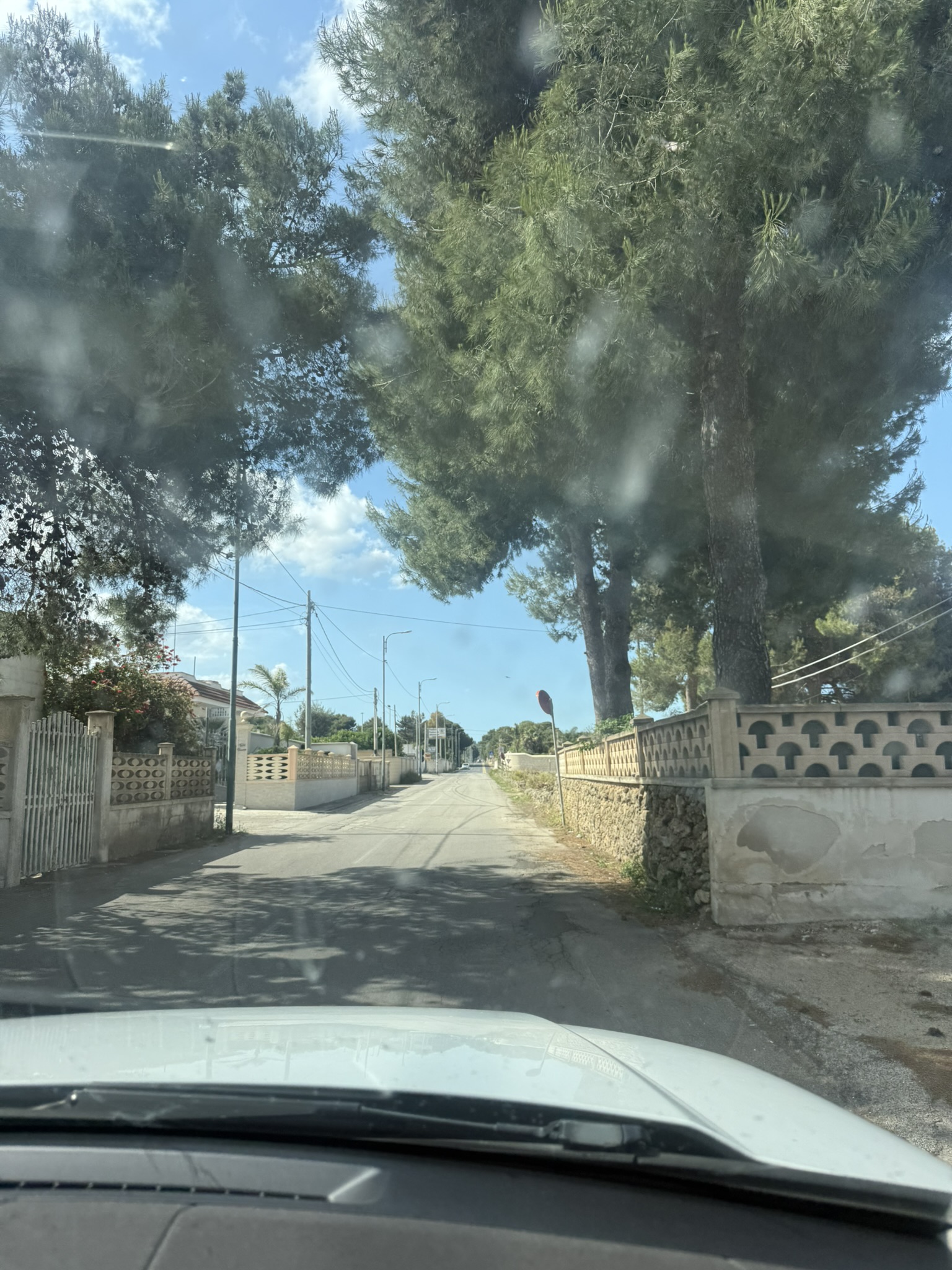 Villa Lea in San Pietro In Bevagna - 1 hectare of land, close to the beach, potential for B&B and Primitivo Vineyards.