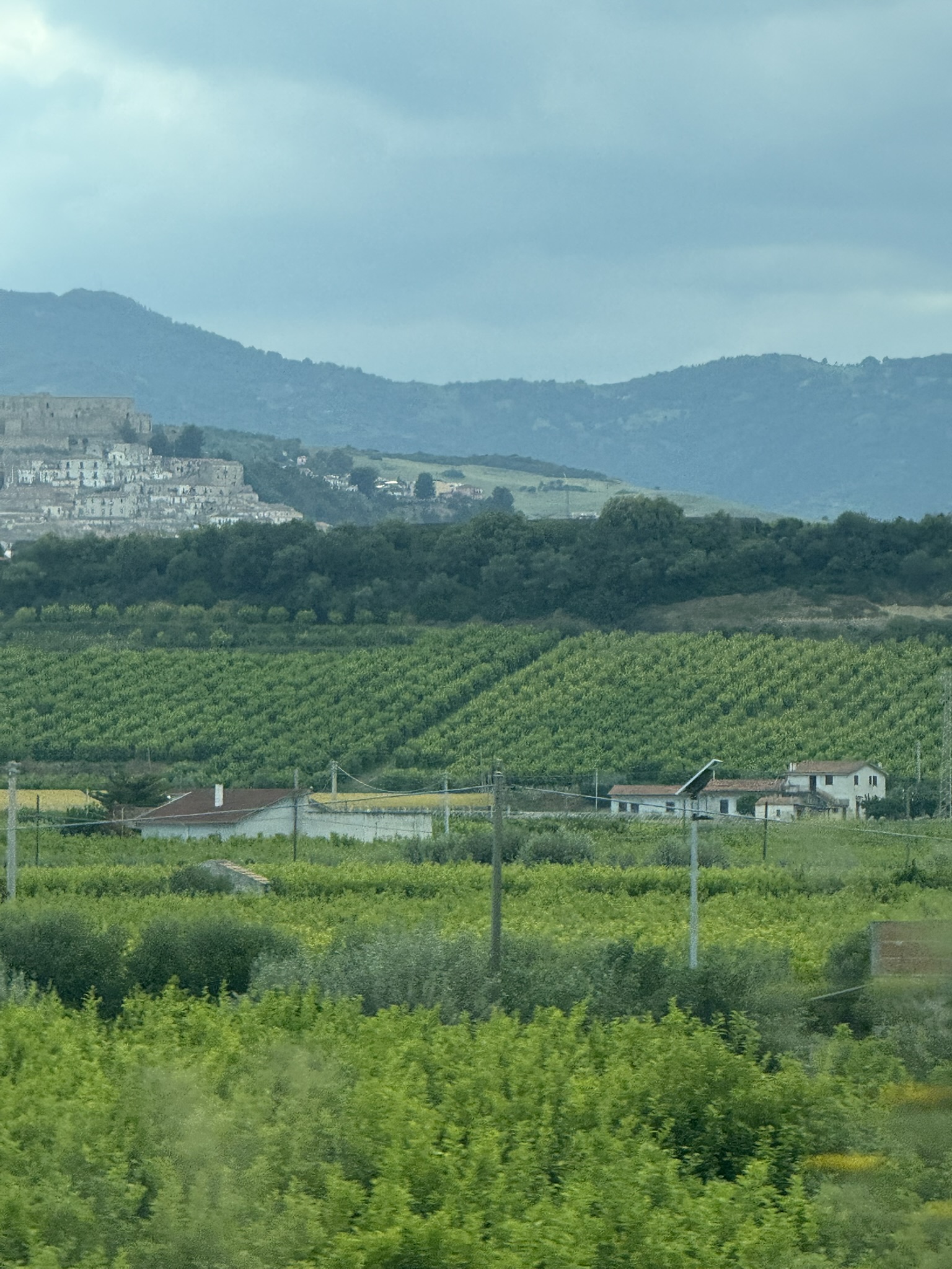 Villa Lea in San Pietro In Bevagna - 1 hectare of land, close to the beach, potential for B&B and Primitivo Vineyards.