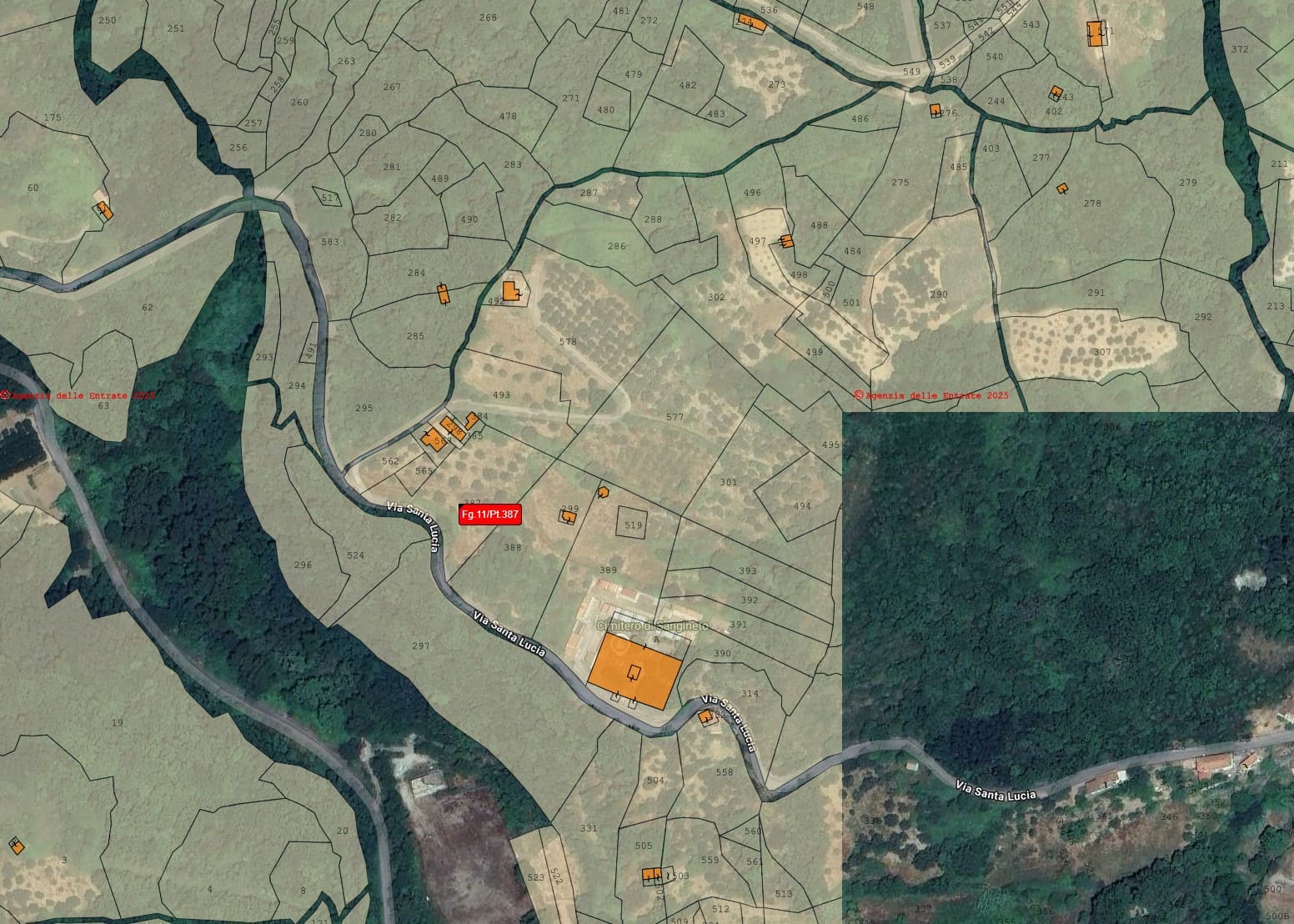 House to be renovated in Sangineto - plot of 18000m² with olive trees, B&B potential.