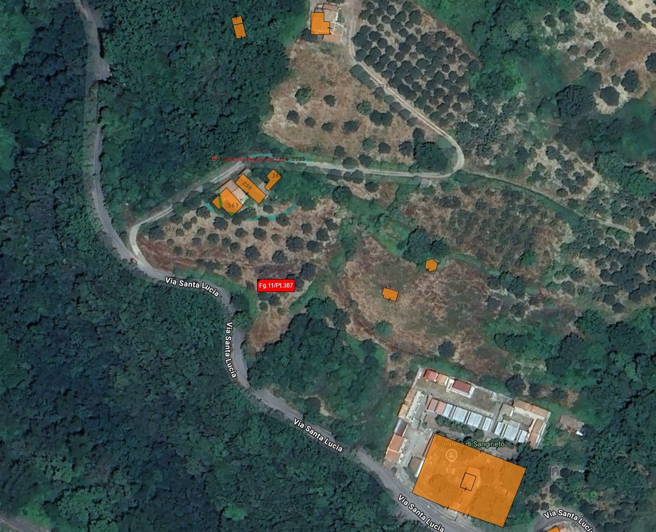 House to be renovated in Sangineto - plot of 18000m² with olive trees, B&B potential.