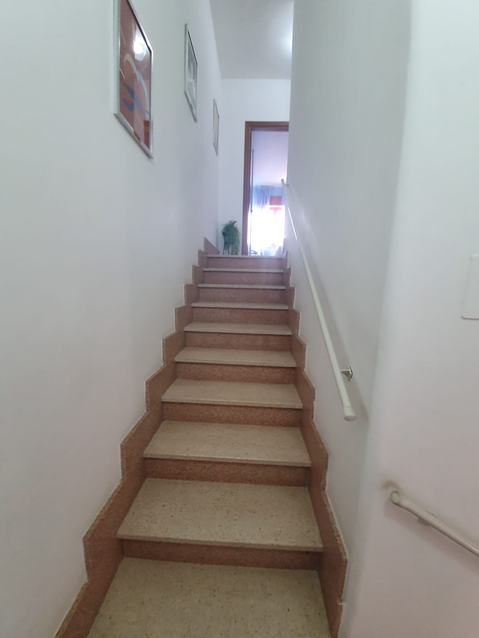 Your dream Italian villa in Santa Domenica Talao.