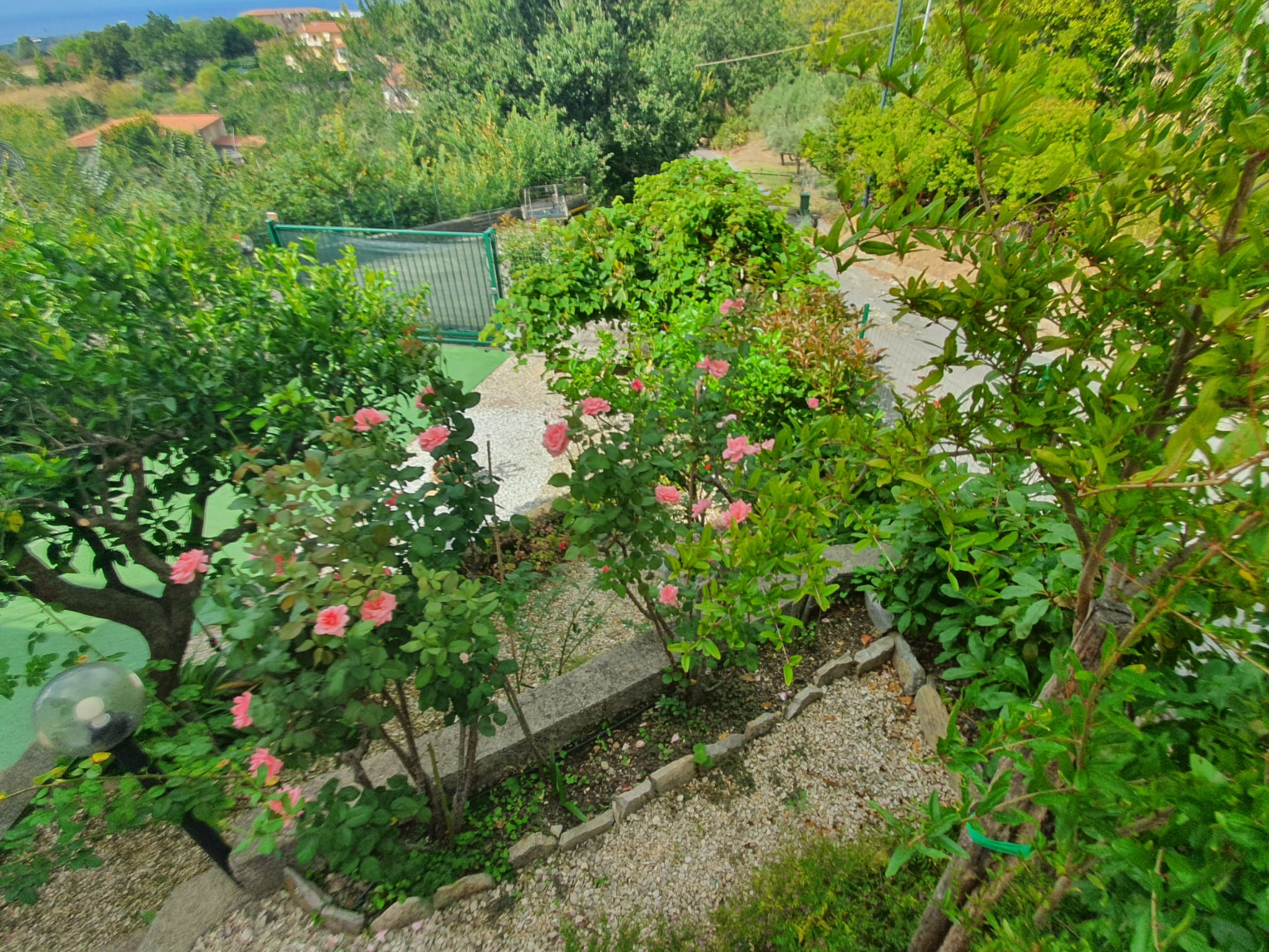 Your dream Italian villa in Santa Domenica Talao.