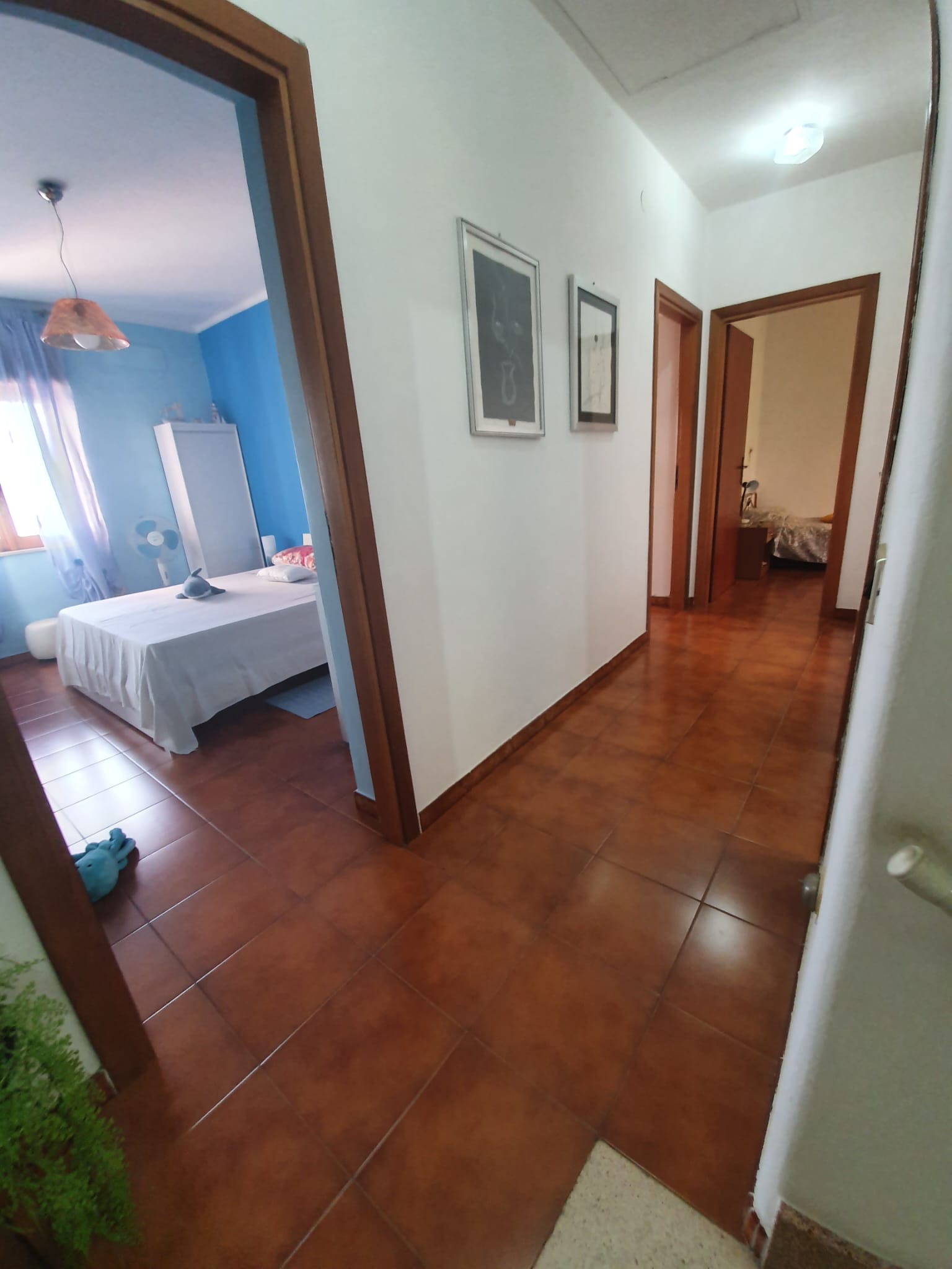 Your dream Italian villa in Santa Domenica Talao.