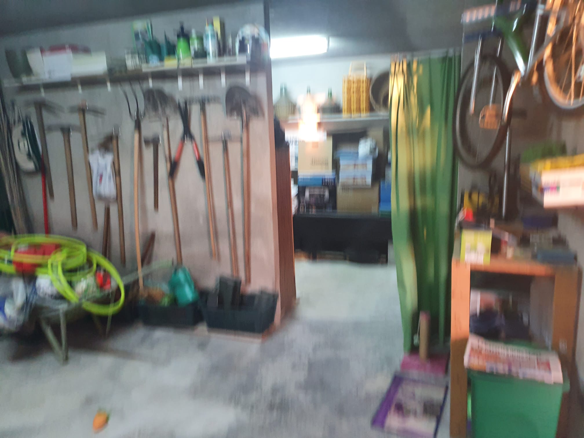 Your dream Italian villa in Santa Domenica Talao.