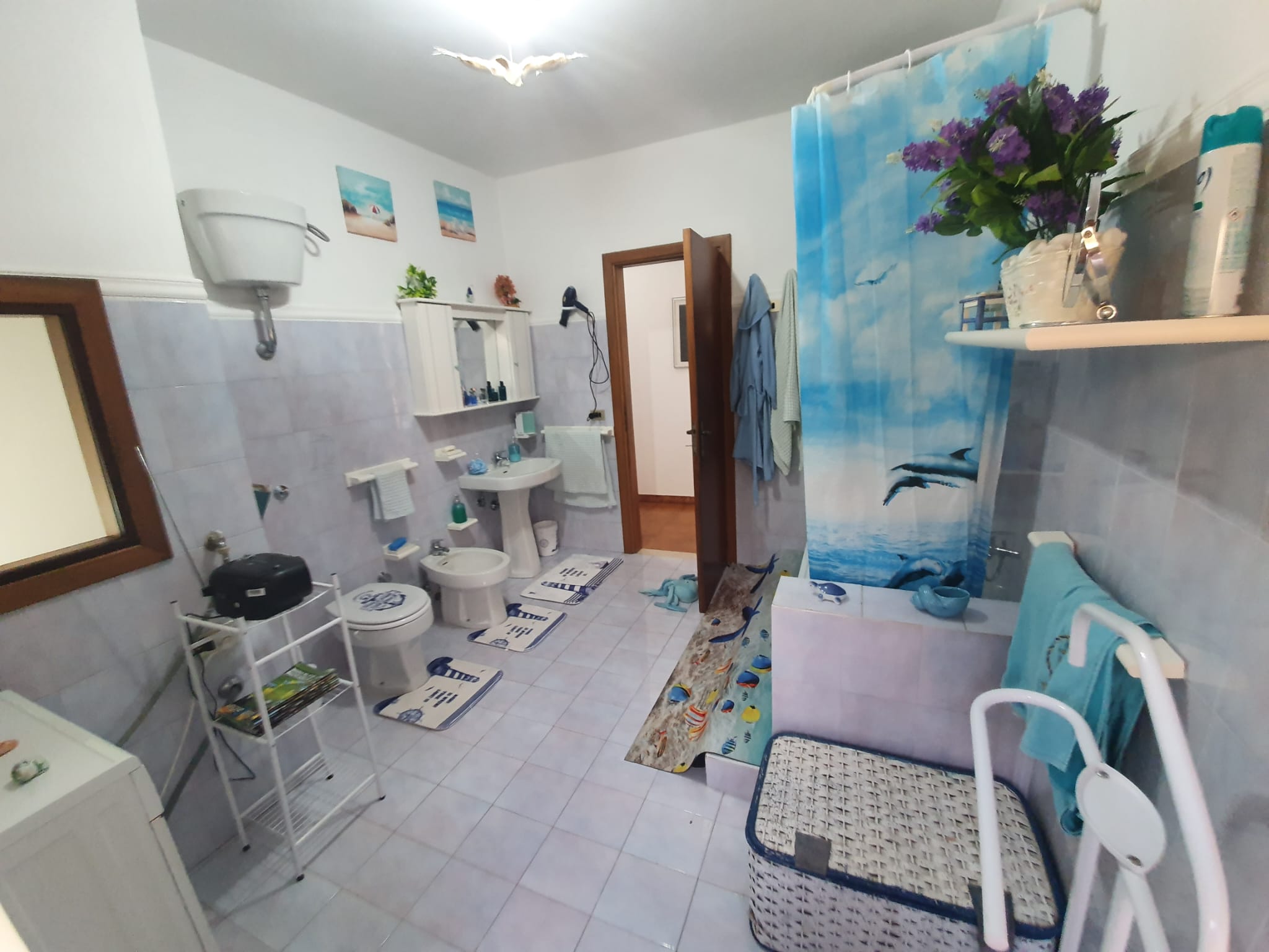 Your dream Italian villa in Santa Domenica Talao.