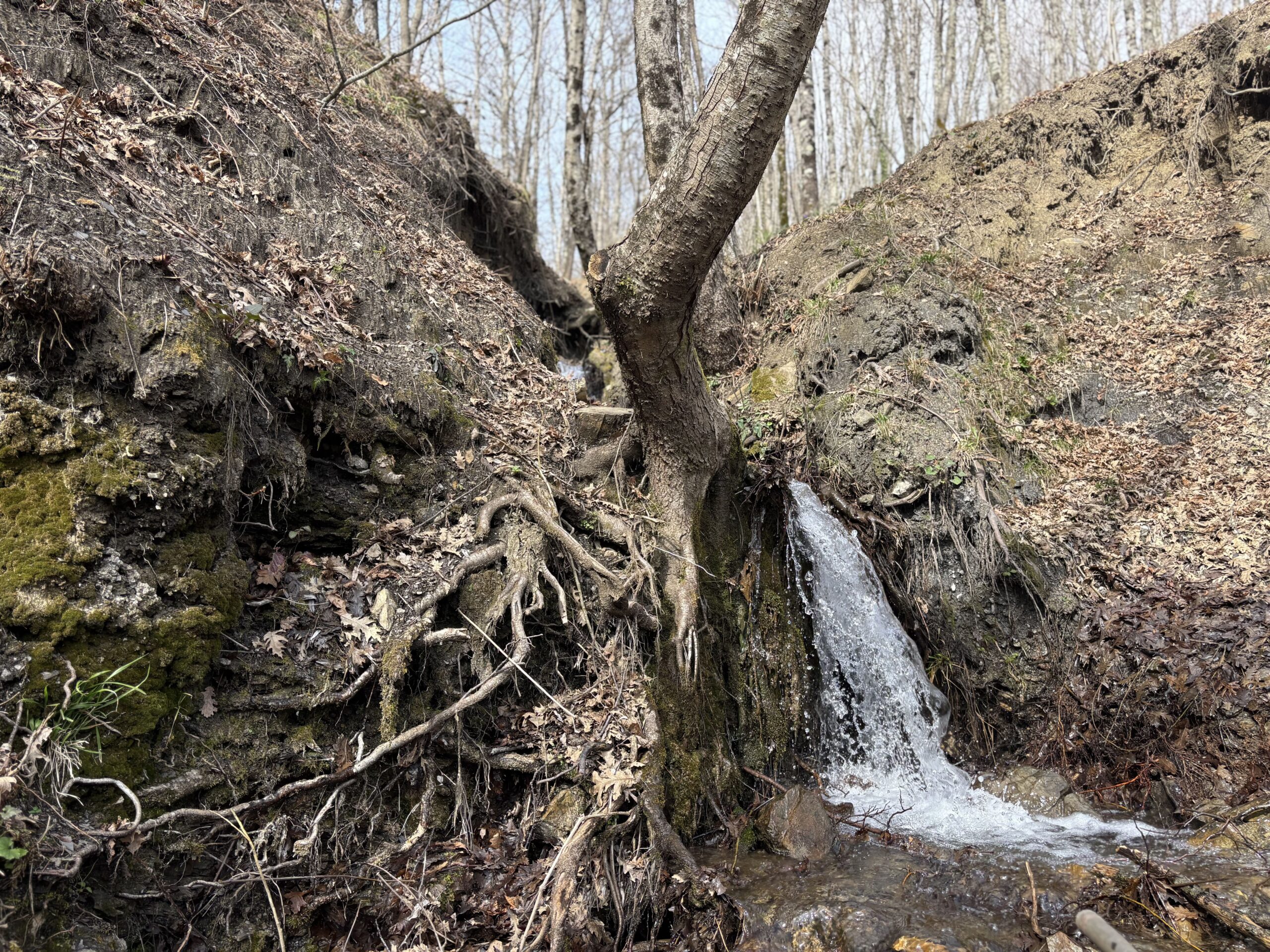 Lauria - independent house with great potential.